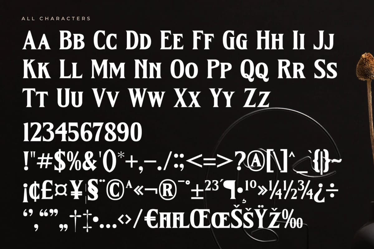 Kingtron – Modern Serif Display font preview 13