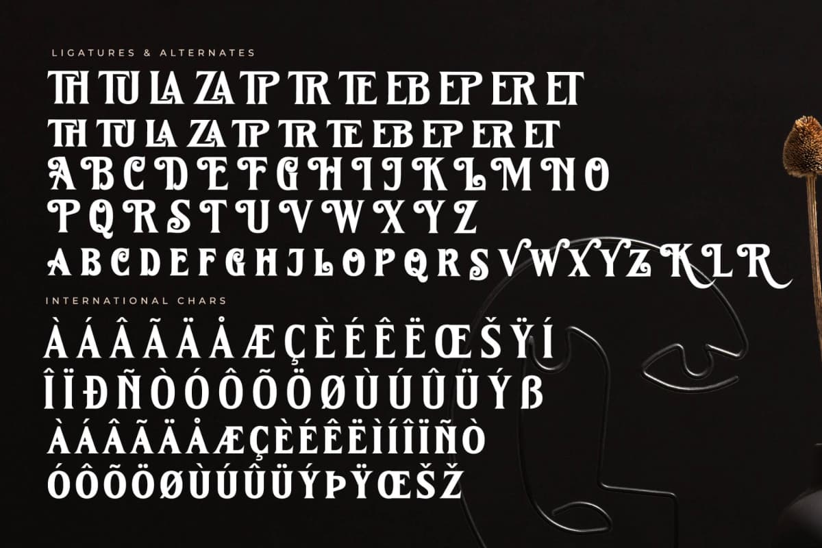 Kingtron – Modern Serif Display font preview 14
