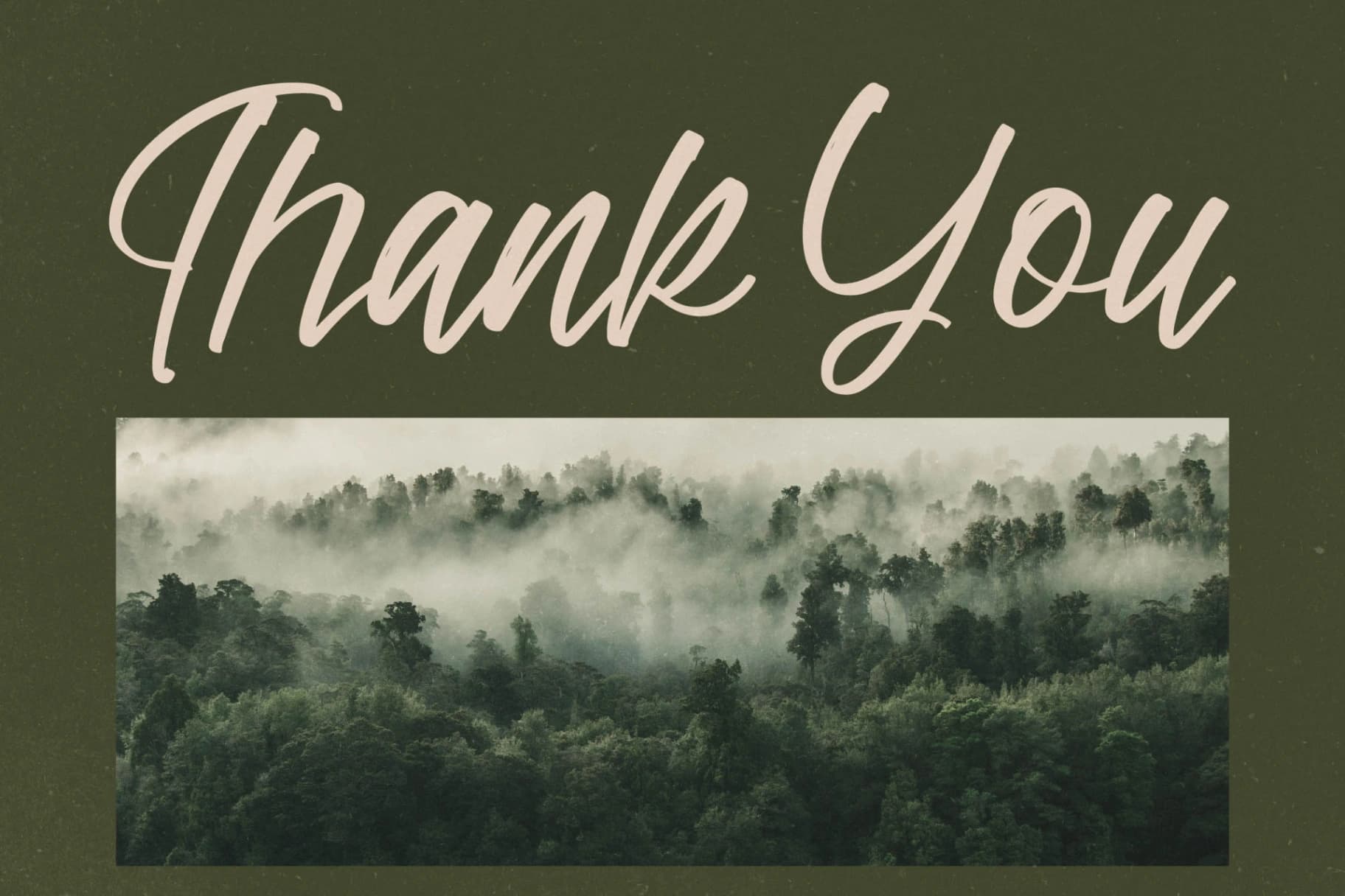 Preview 15 for Golden Forest – Modern Handwritten Script