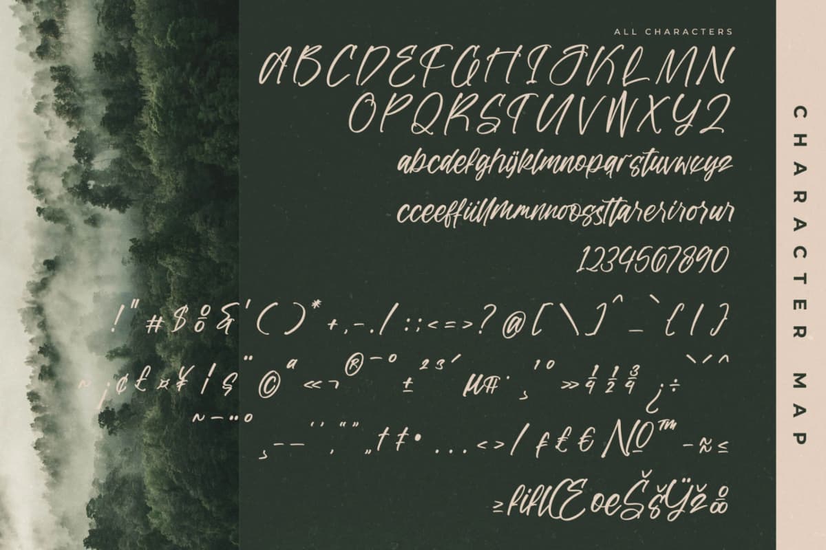 Golden Forest – Modern Handwritten Script font preview 14
