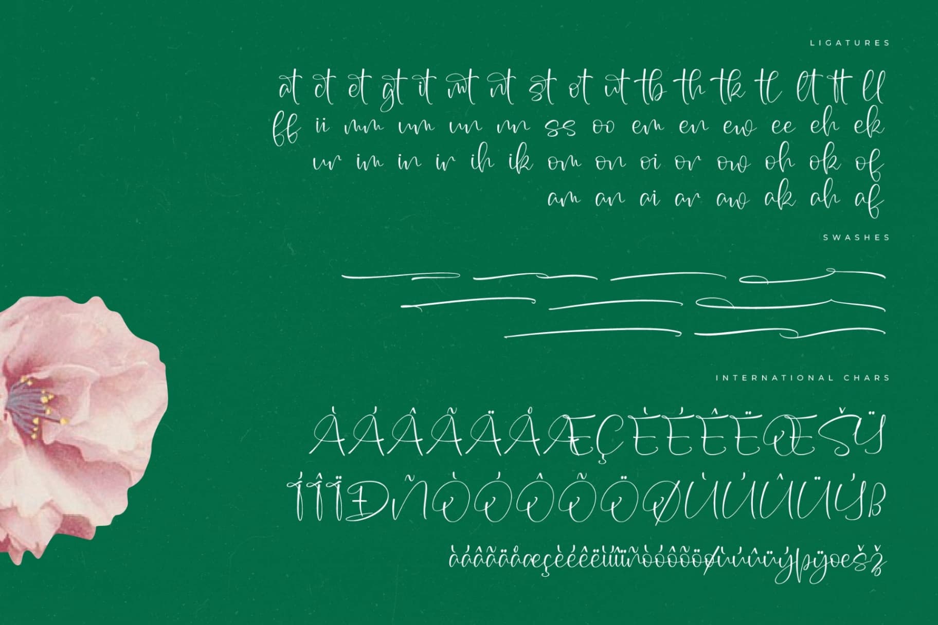 Preview 14 for Sophia Mitha – Freestyle Stylish Font