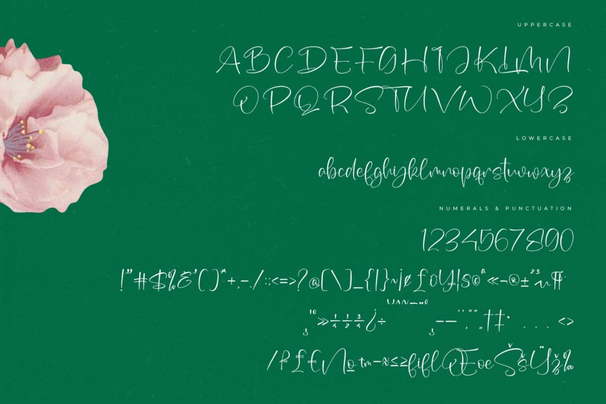 Sophia Mitha – Freestyle Stylish Font font preview 13