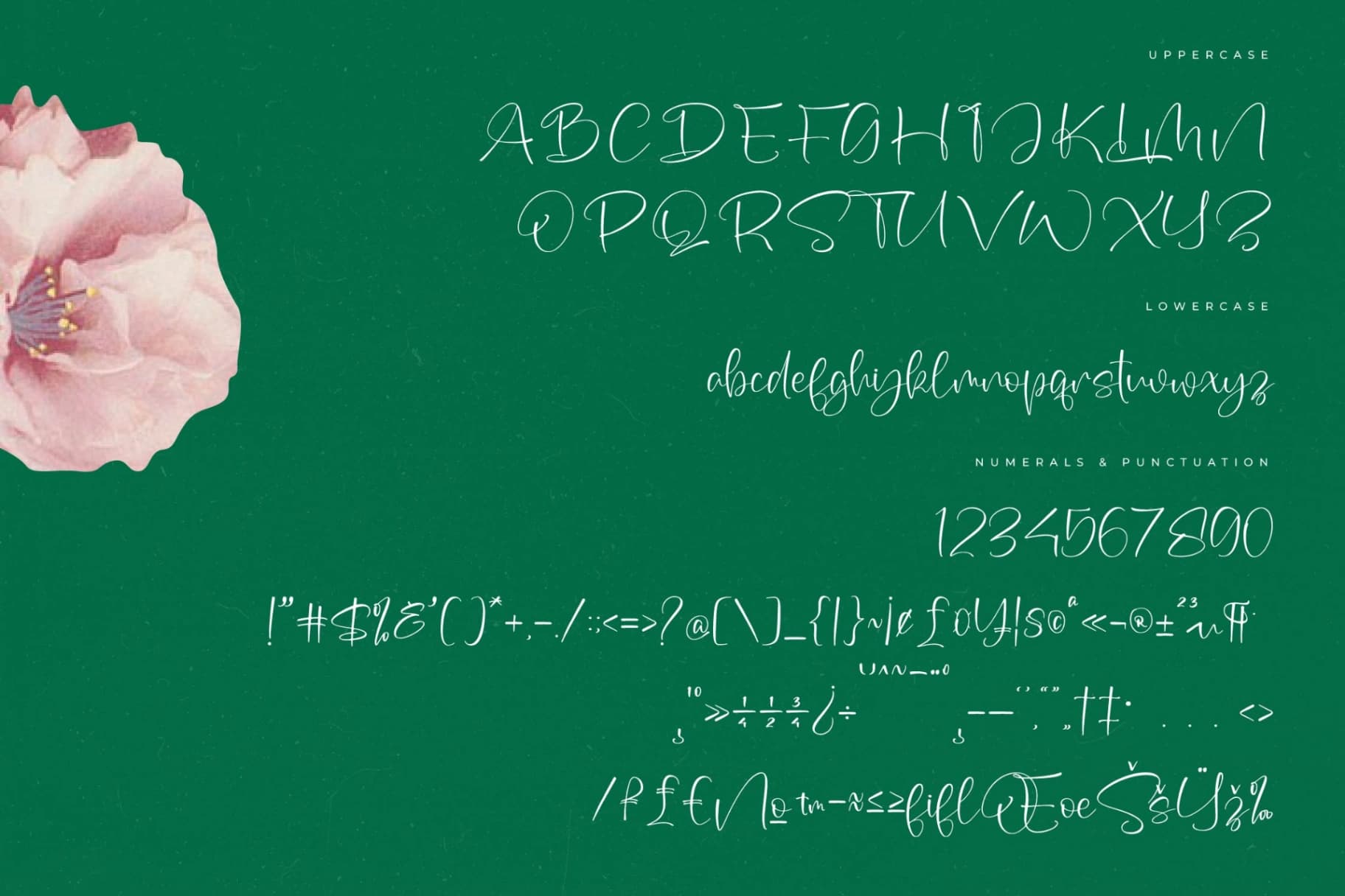 Preview 13 for Sophia Mitha – Freestyle Stylish Font