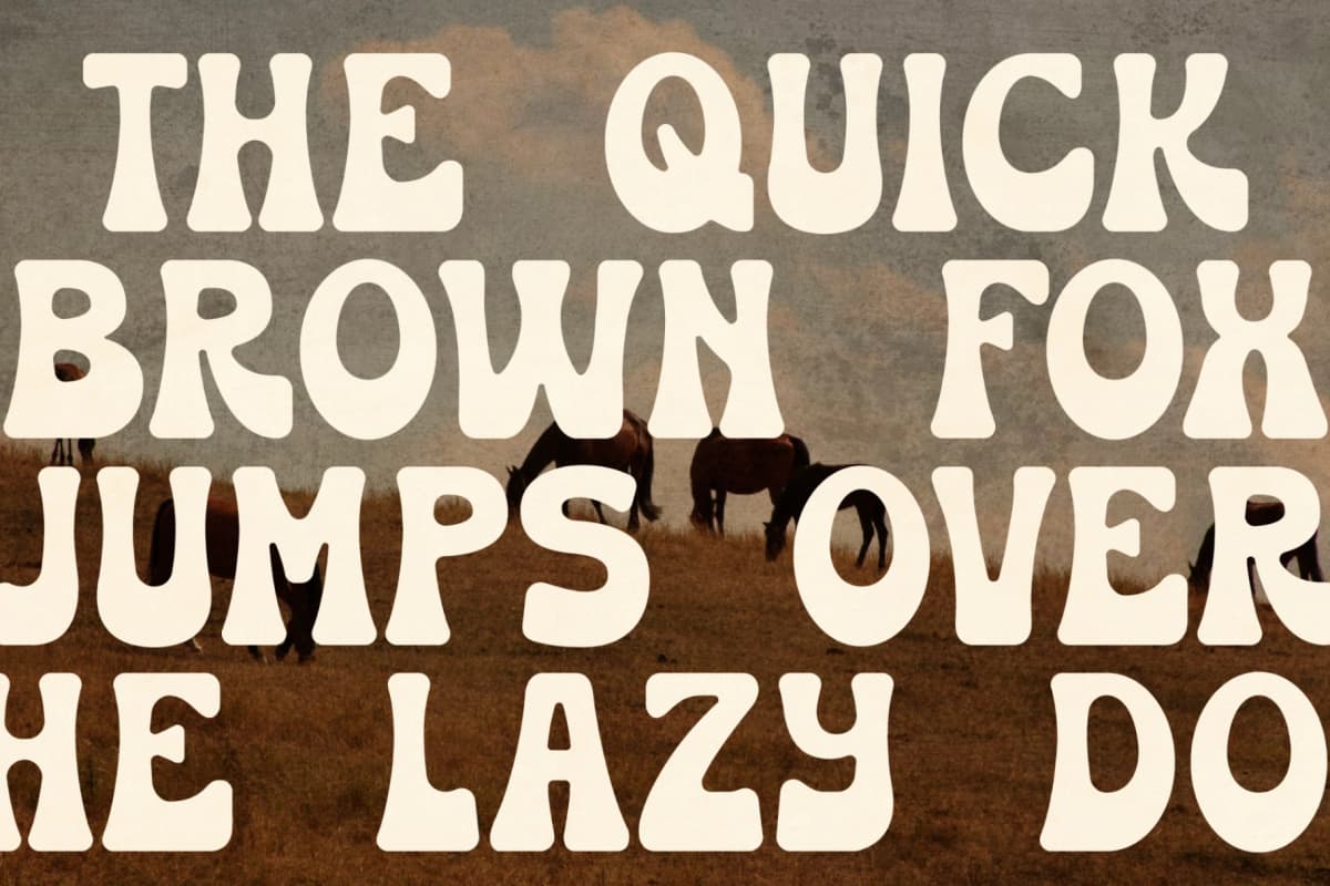 Huston - Western Display Font font preview 7