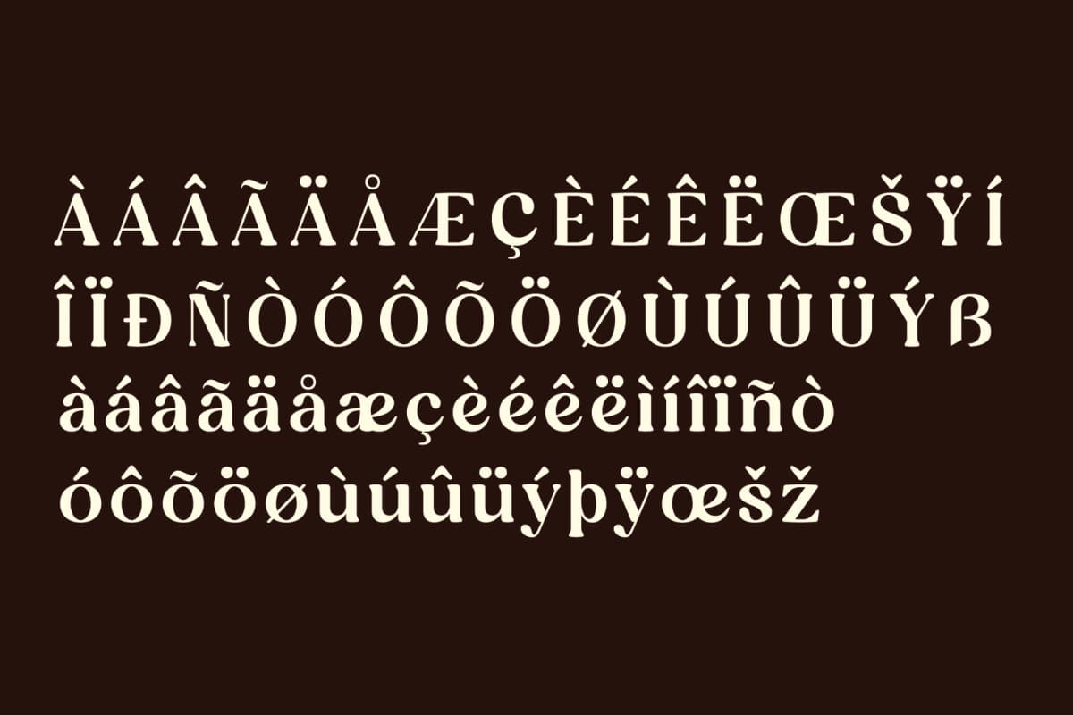 Magisho - Stylish Vintage Serif Font font preview 14