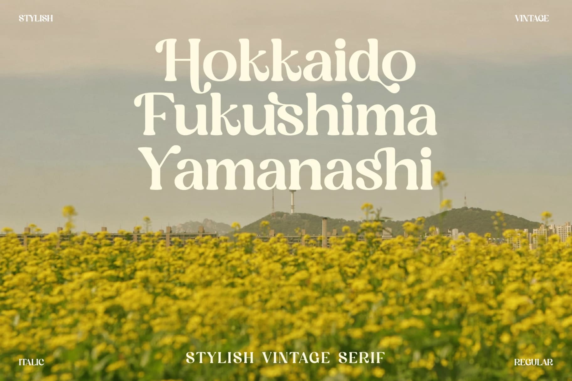 Preview 6 for Magisho - Stylish Vintage Serif Font