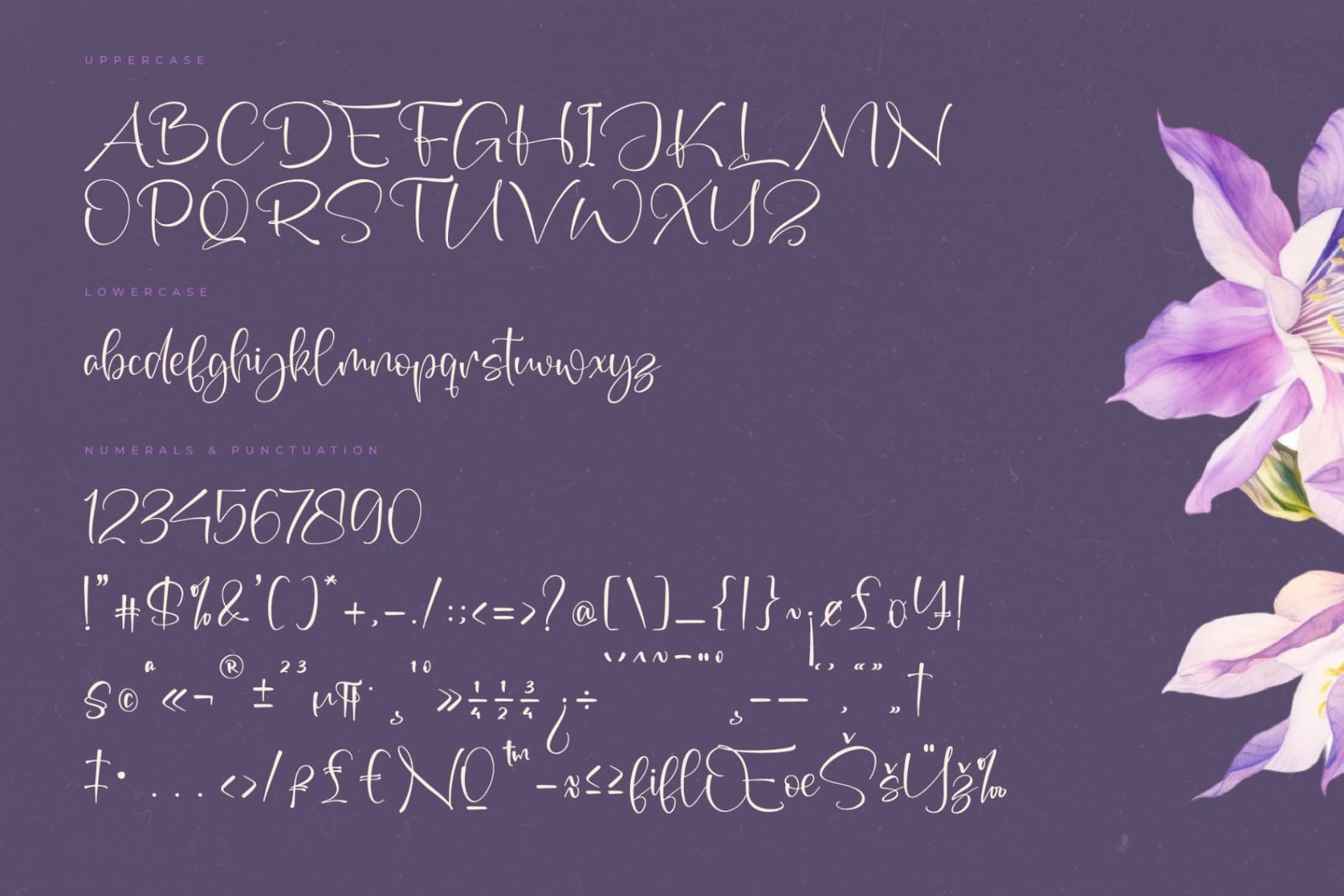 Preview 13 for Roseteria Culture – Freestyle Stylish Font