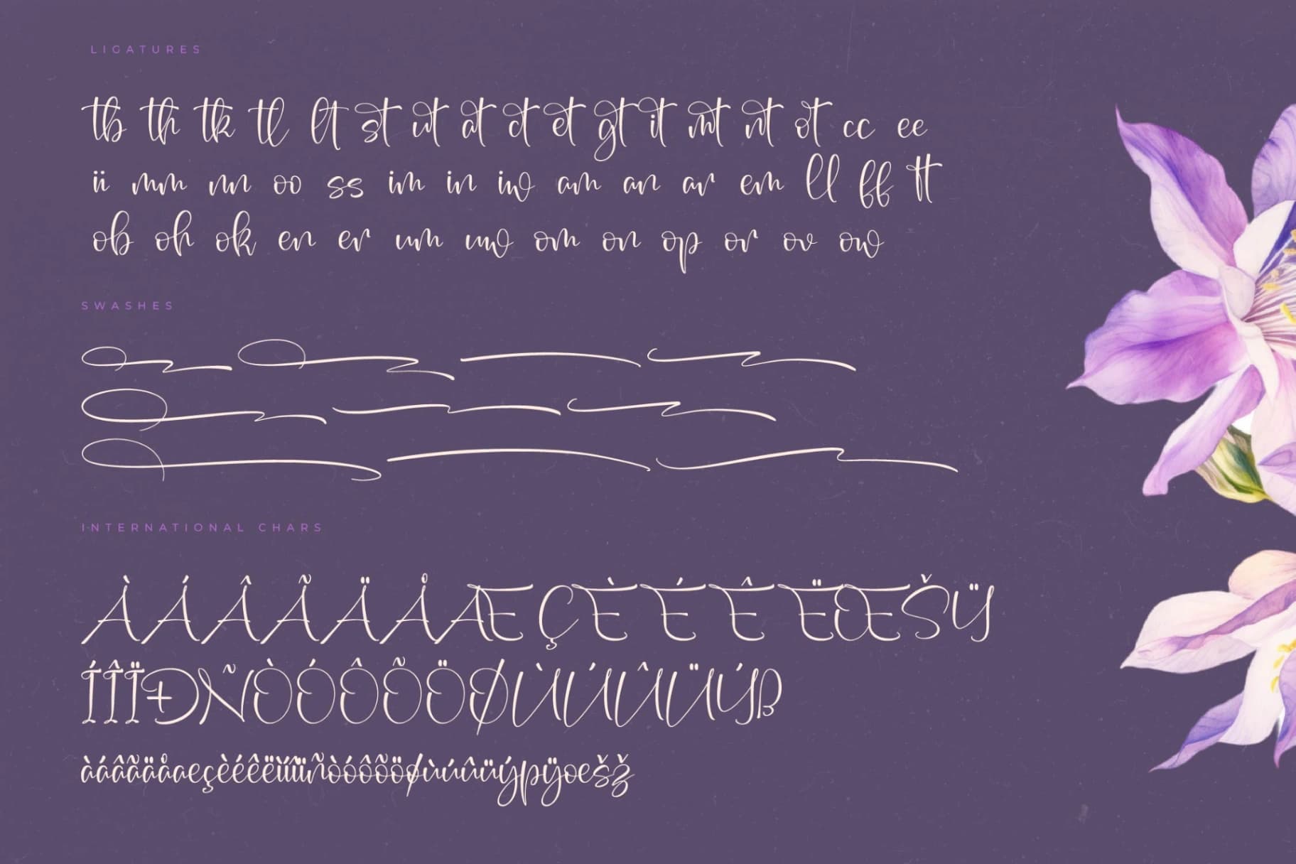Preview 14 for Roseteria Culture – Freestyle Stylish Font