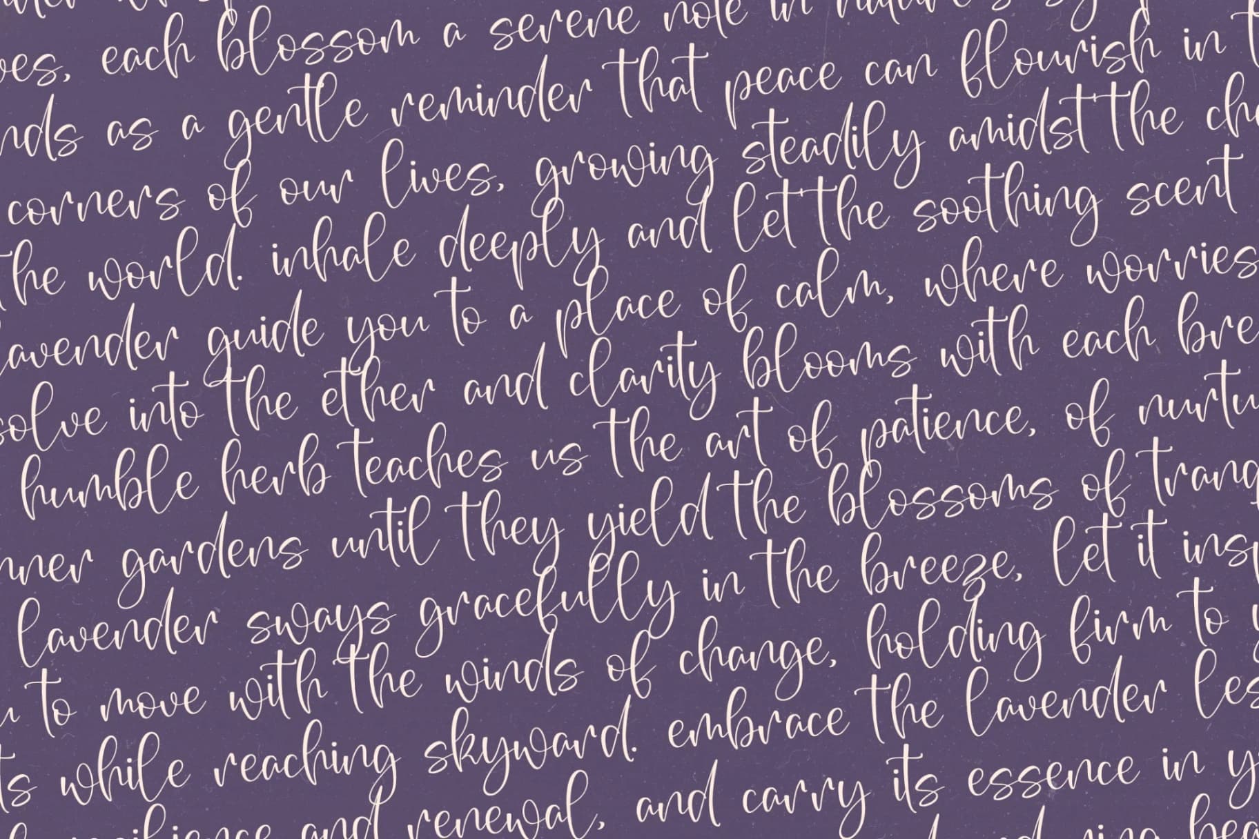 Preview 8 for Roseteria Culture – Freestyle Stylish Font