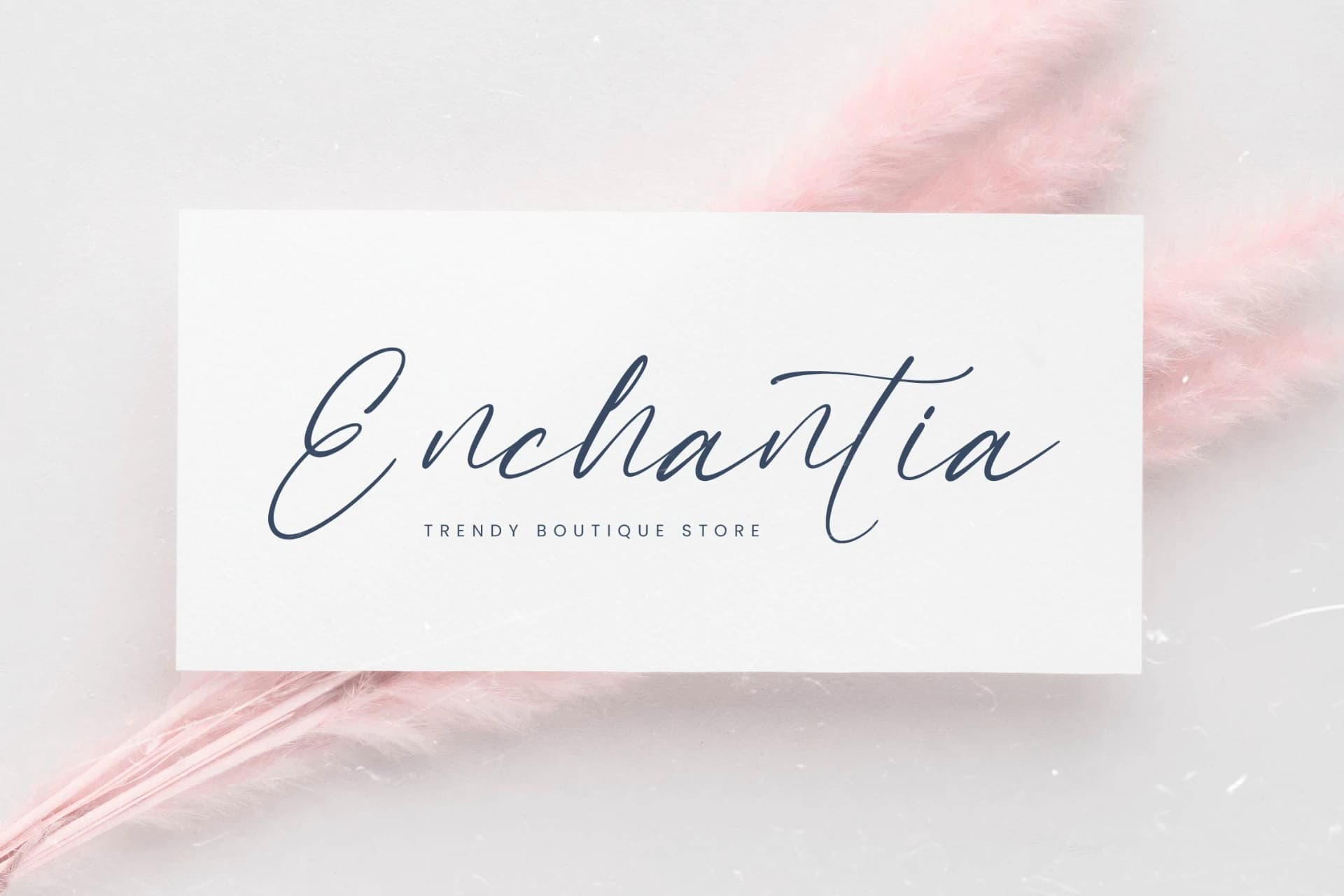 Preview 3 for Mandyta Oliver – Freestyle Stylish Font