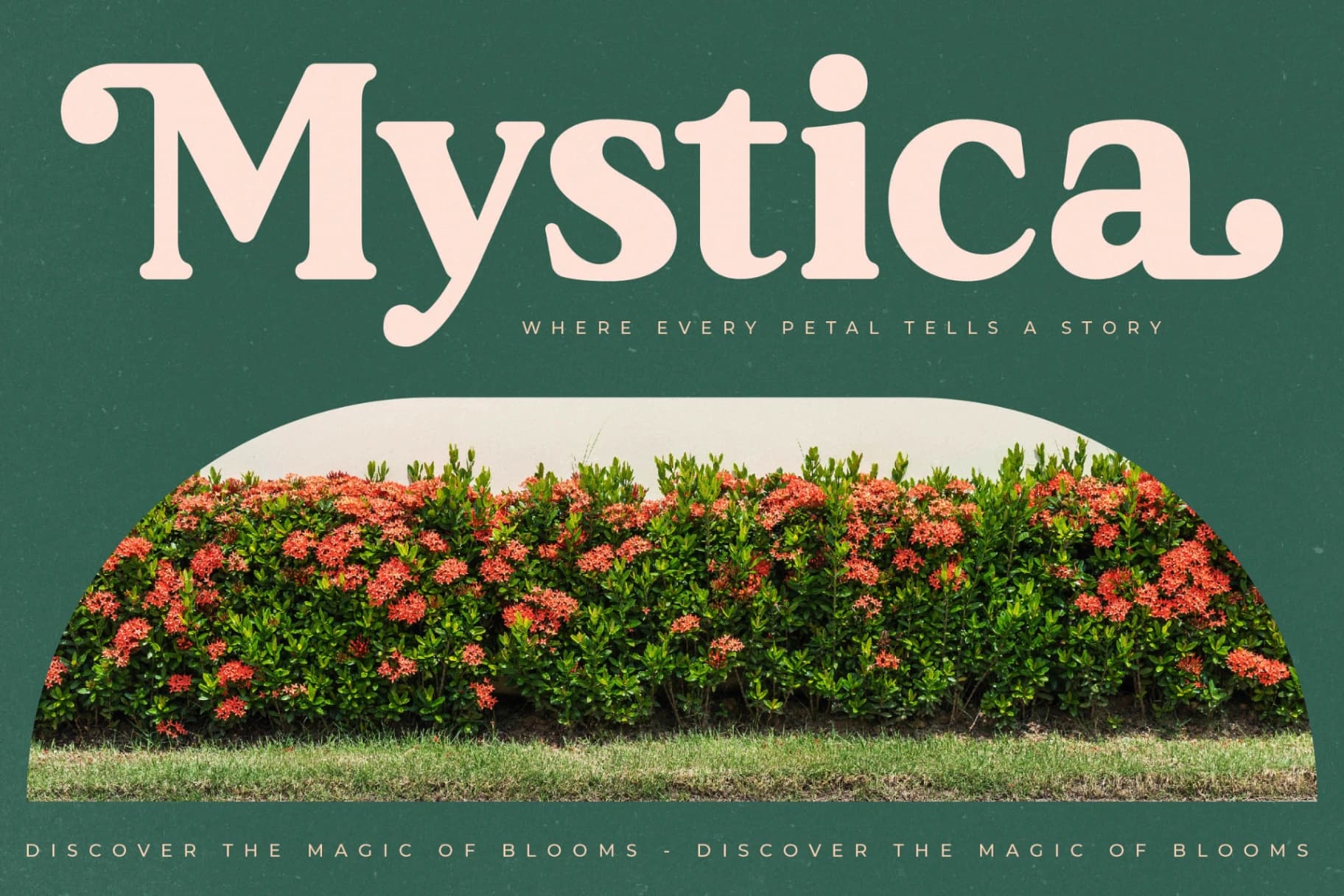 Preview 3 for Garden Rostera - Modern Vintage Serif