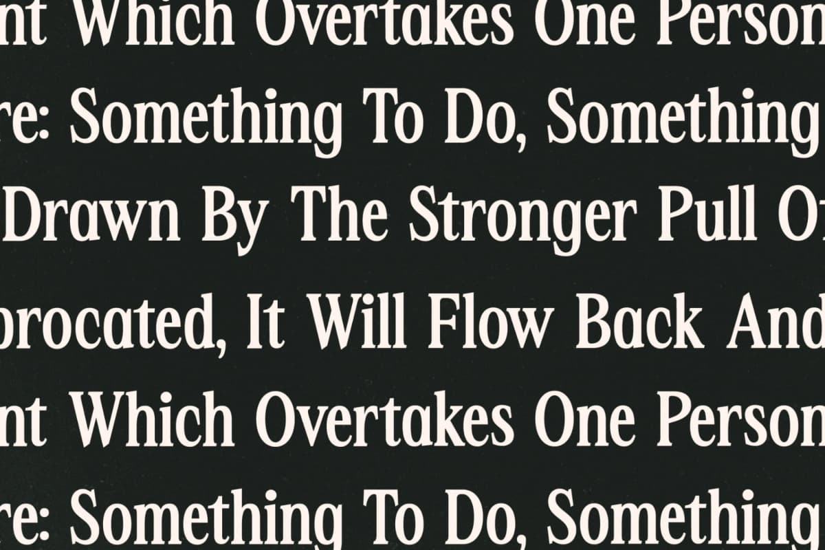 Nightbor – Modern Display Serif font preview 9