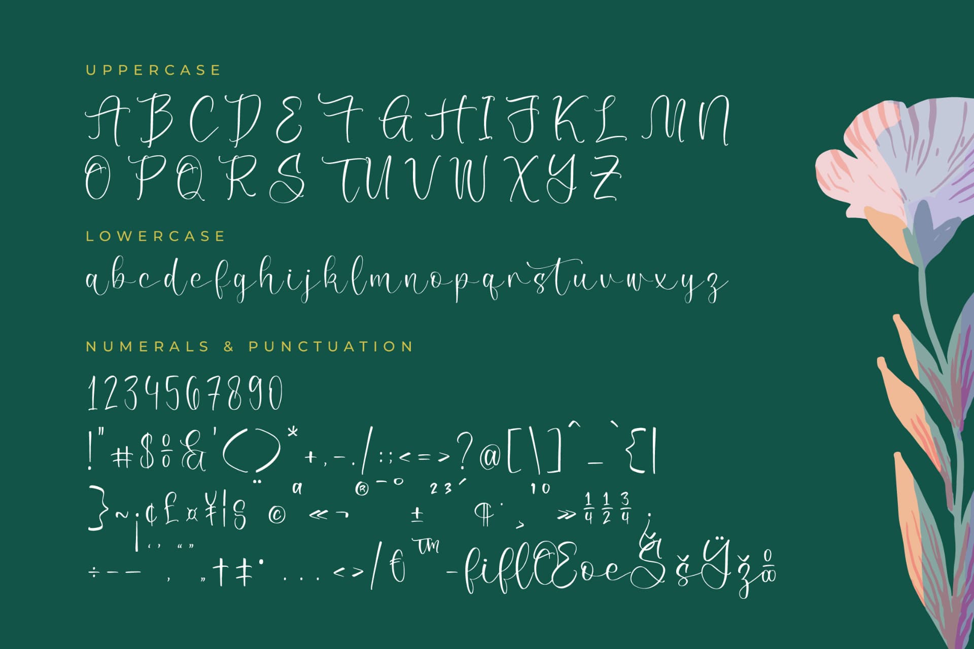 Preview 13 for Sofiah Grycelin – Beautiful Script Font