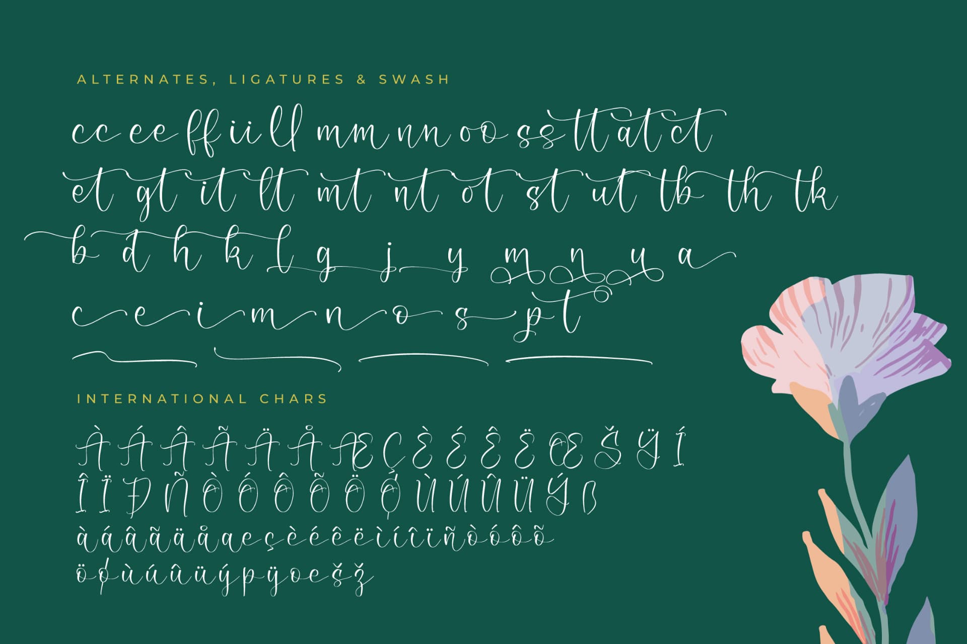 Preview 14 for Sofiah Grycelin – Beautiful Script Font