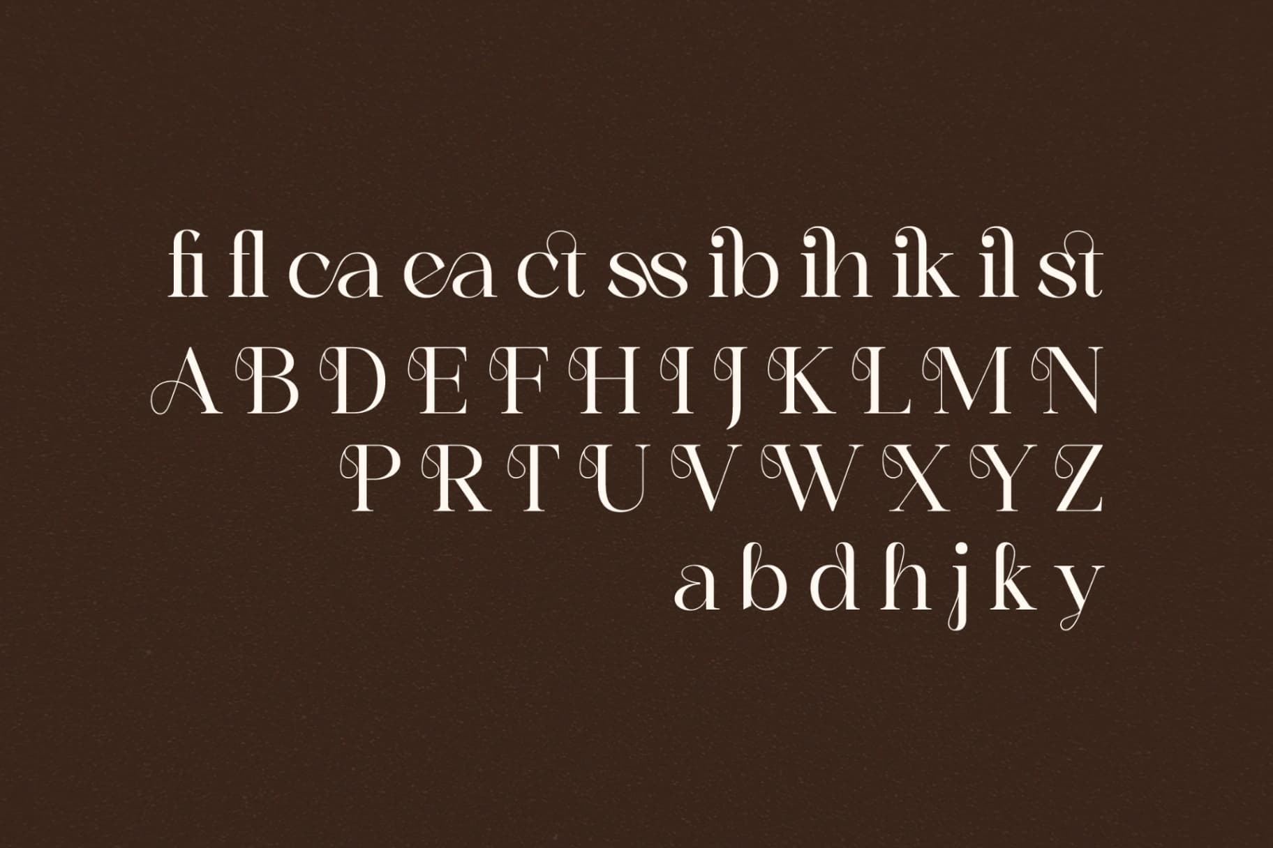 Preview 13 for Reailge - Modern Serif Font
