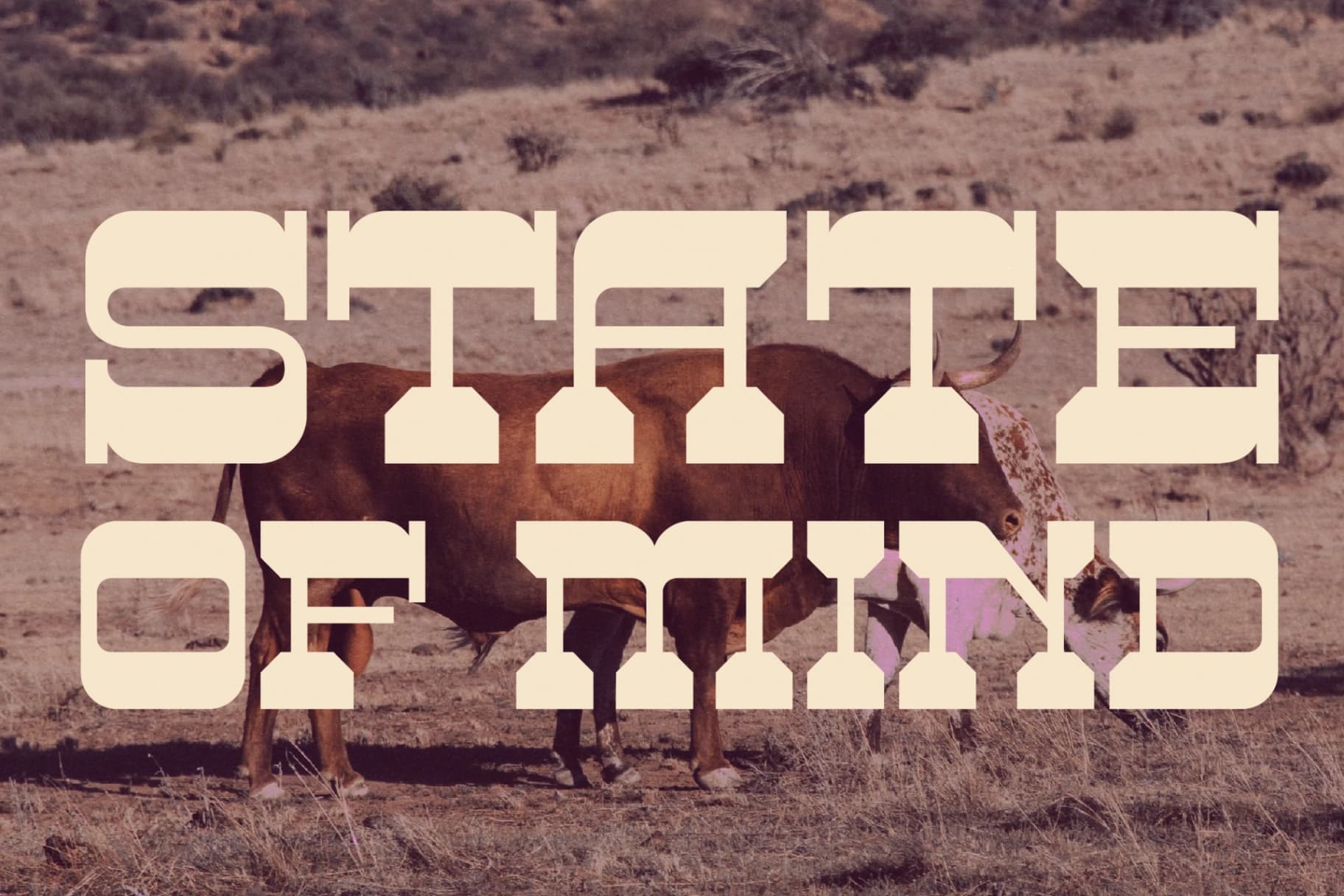 Preview 4 for Big Rodheo - Unique Slab Font