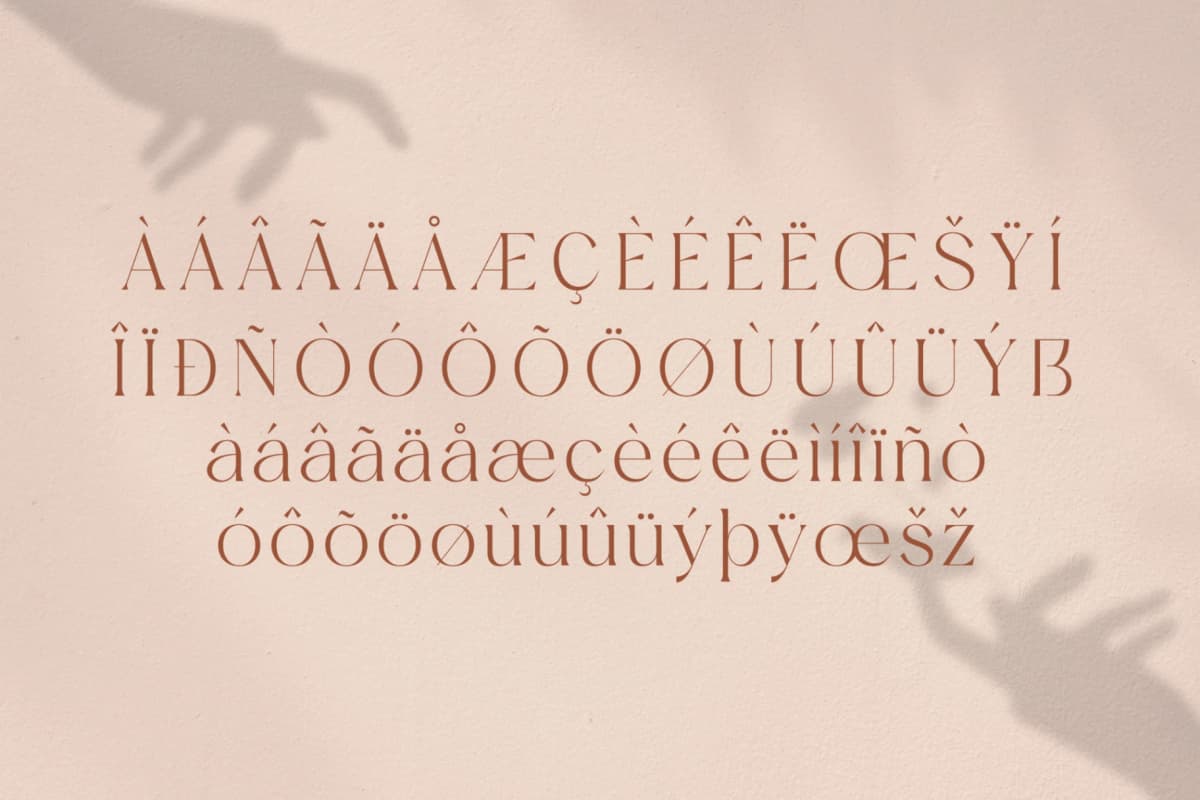 Mediga - Stylish Modern Font font preview 14
