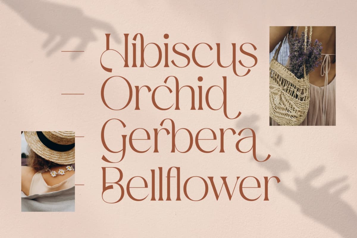 Mediga - Stylish Modern Font font preview 2
