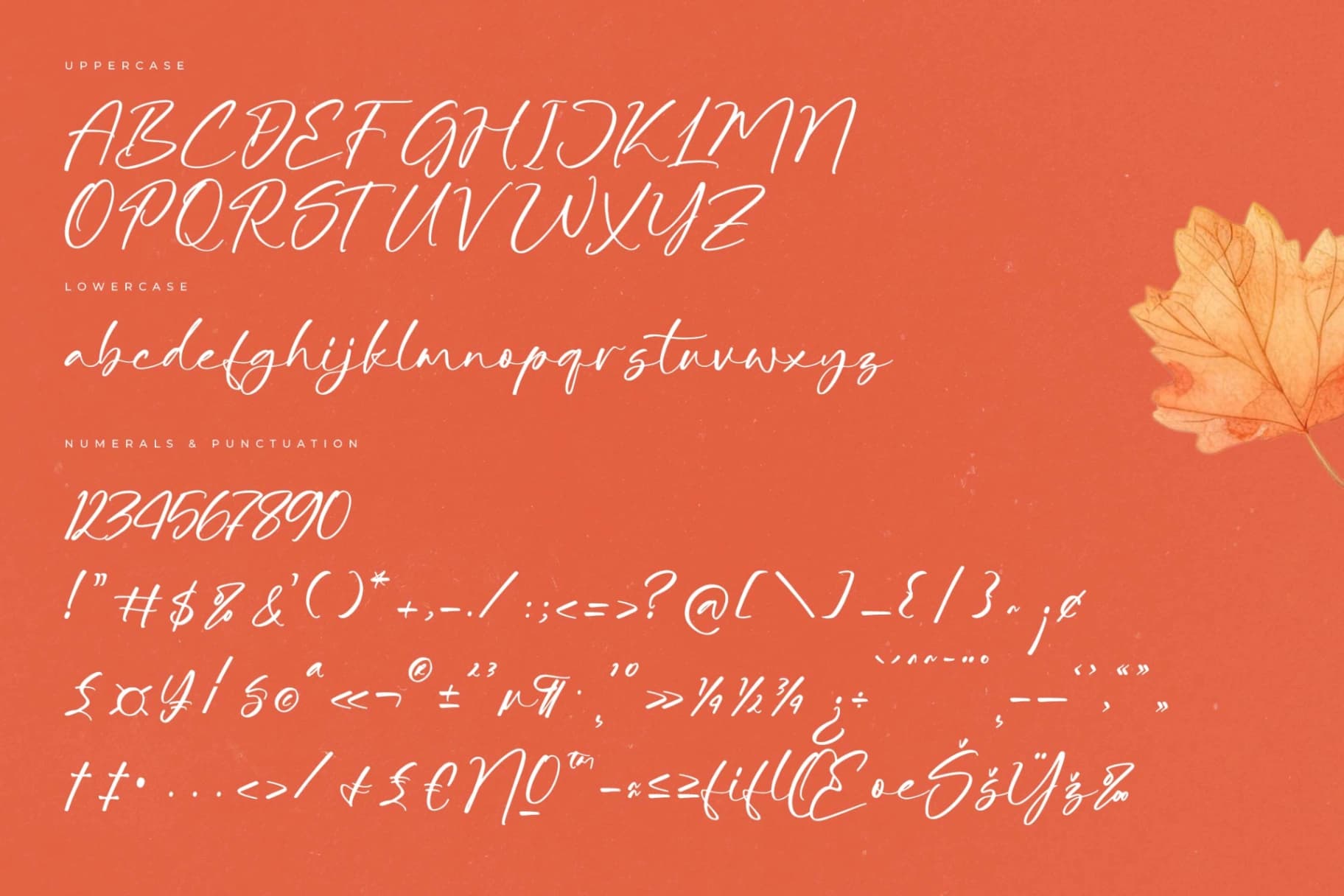 Preview 13 for Autumn Silent – Modern Handwritten Script
