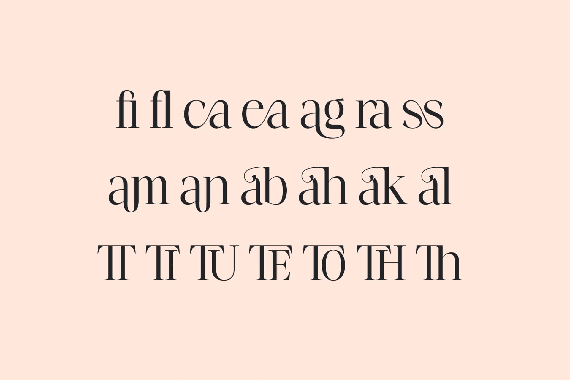 Preview 13 for Fangira - Unique Ligature Serif Font