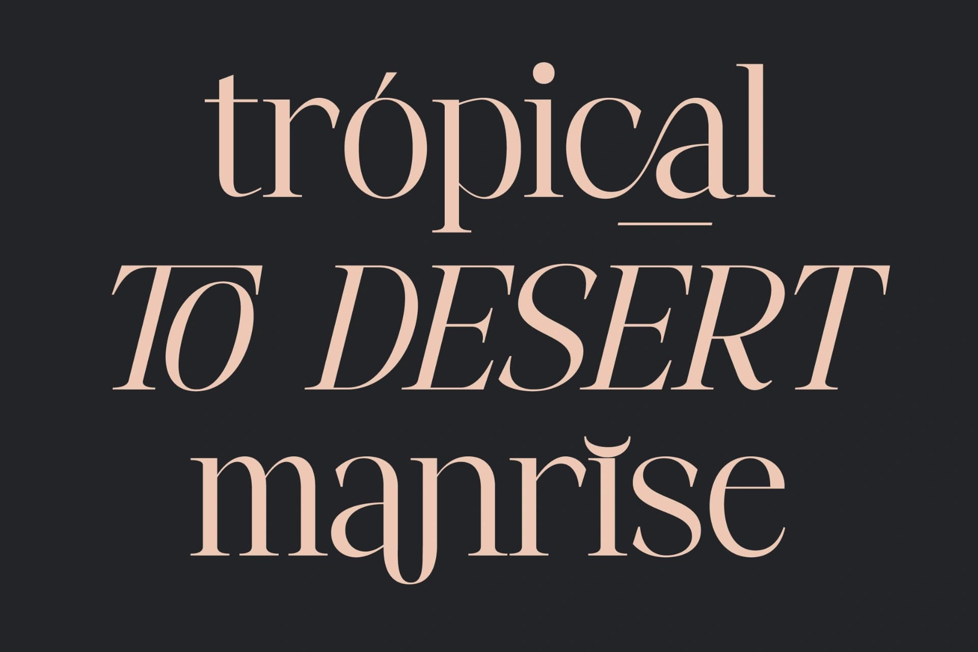 Preview 8 for Fangira - Unique Ligature Serif Font