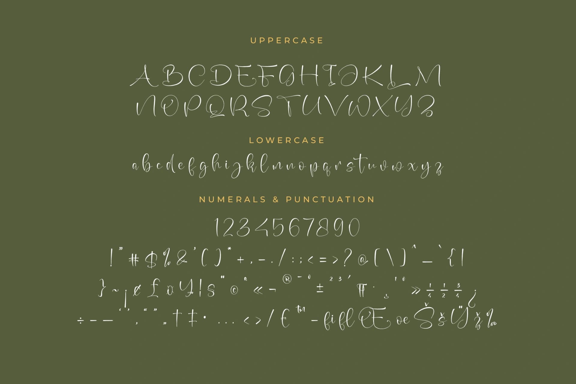 Preview 13 for Beauty Sungold – Beautiful Script Font