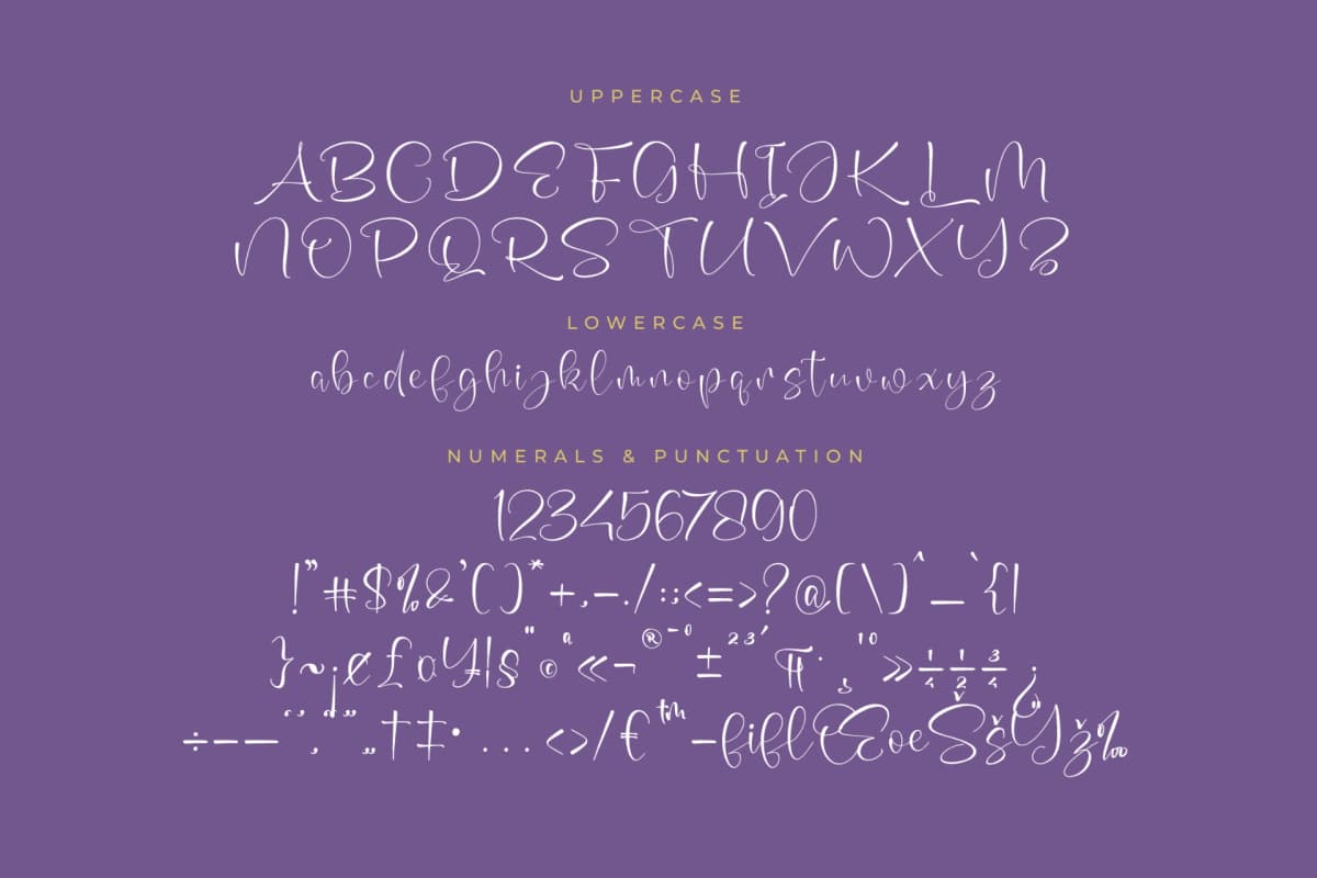 Annets Birthday - Beautiful Script Font font preview 13