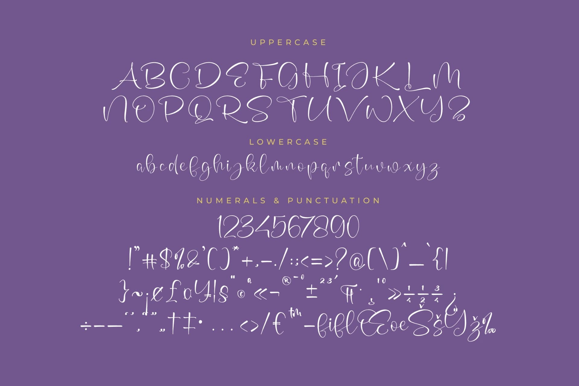 Preview 13 for Annets Birthday - Beautiful Script Font