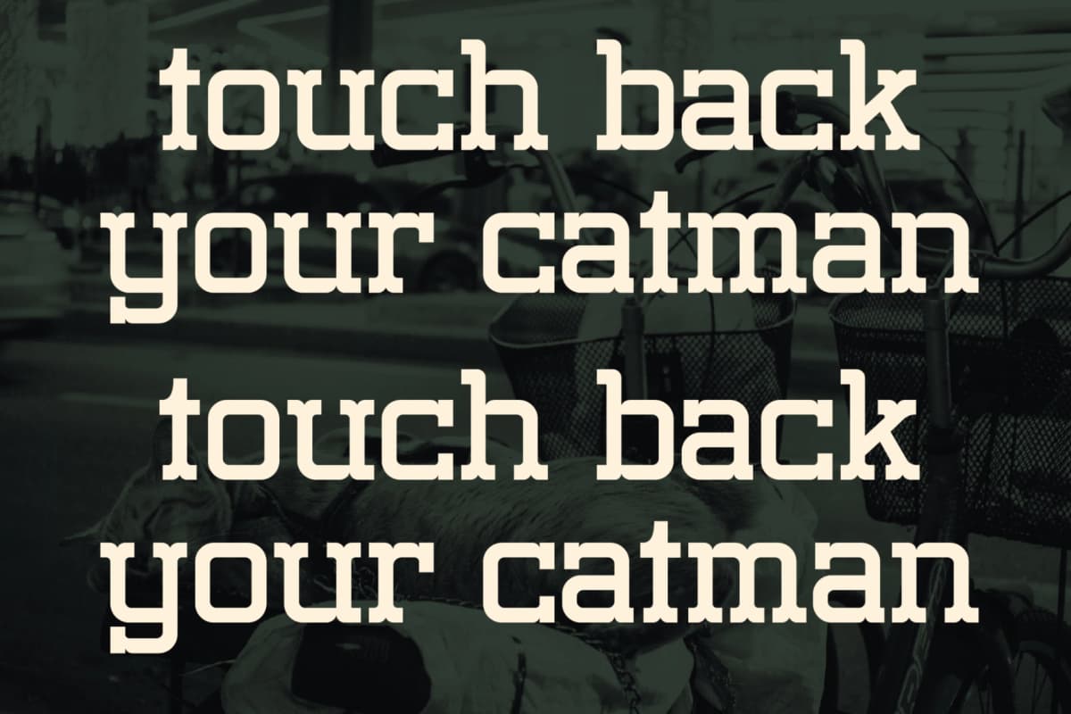 Nomaden Slab - Stylish Slab Serif Font font preview 2