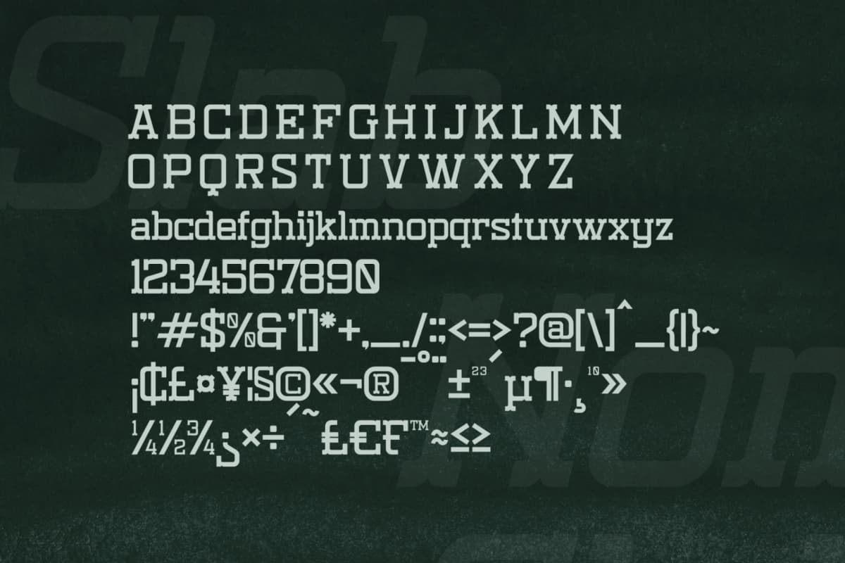 Nomaden Slab - Stylish Slab Serif Font font preview 13
