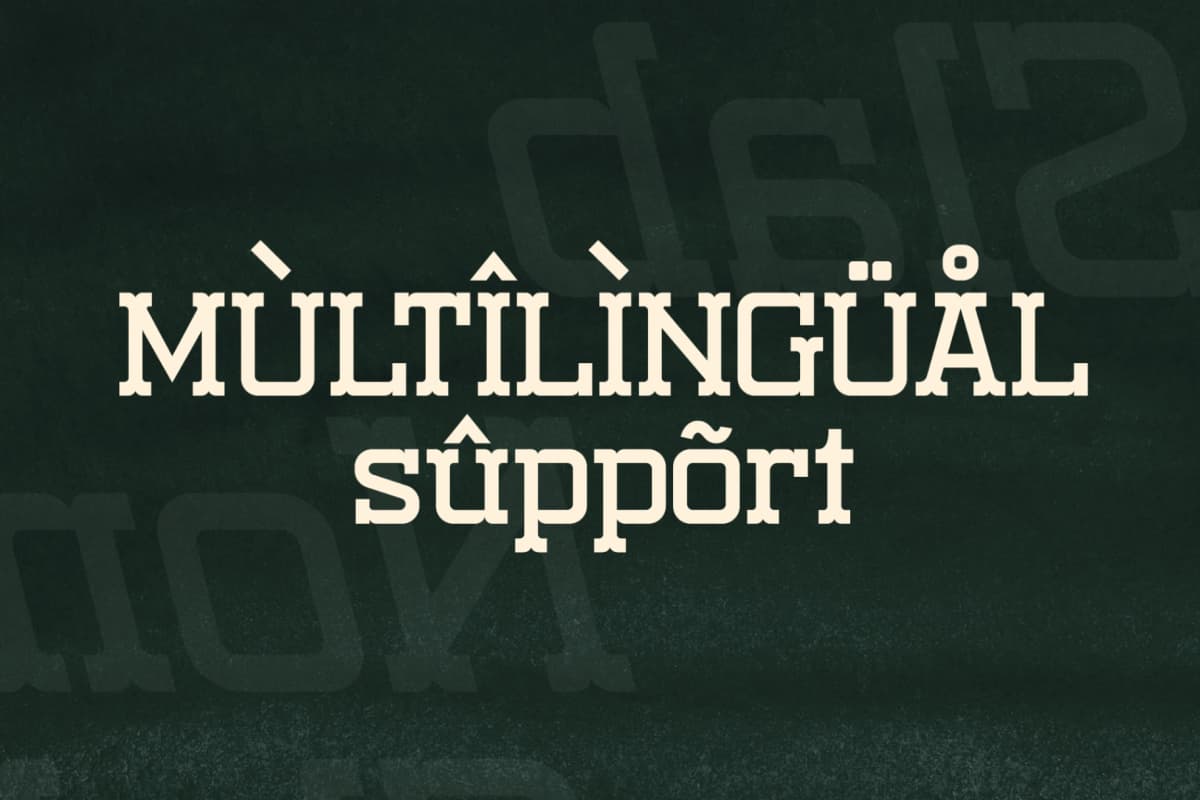Nomaden Slab - Stylish Slab Serif Font font preview 12