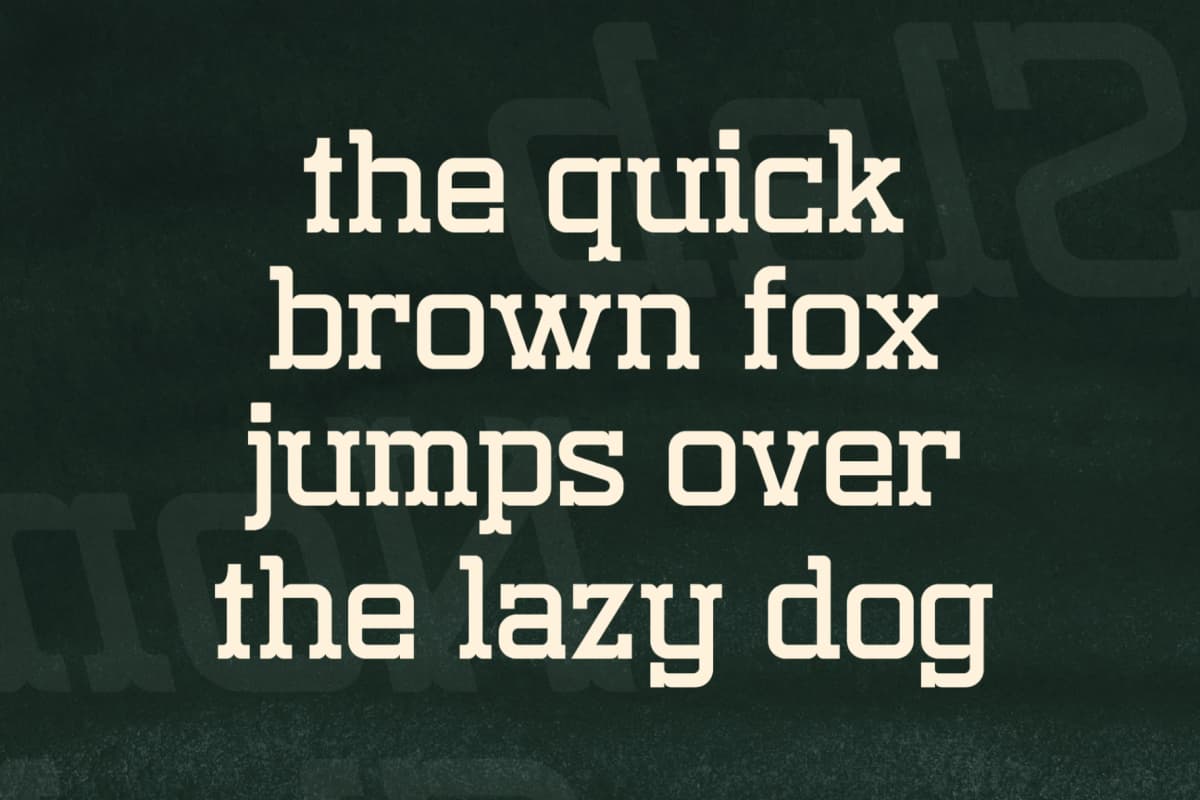 Nomaden Slab - Stylish Slab Serif Font font preview 10