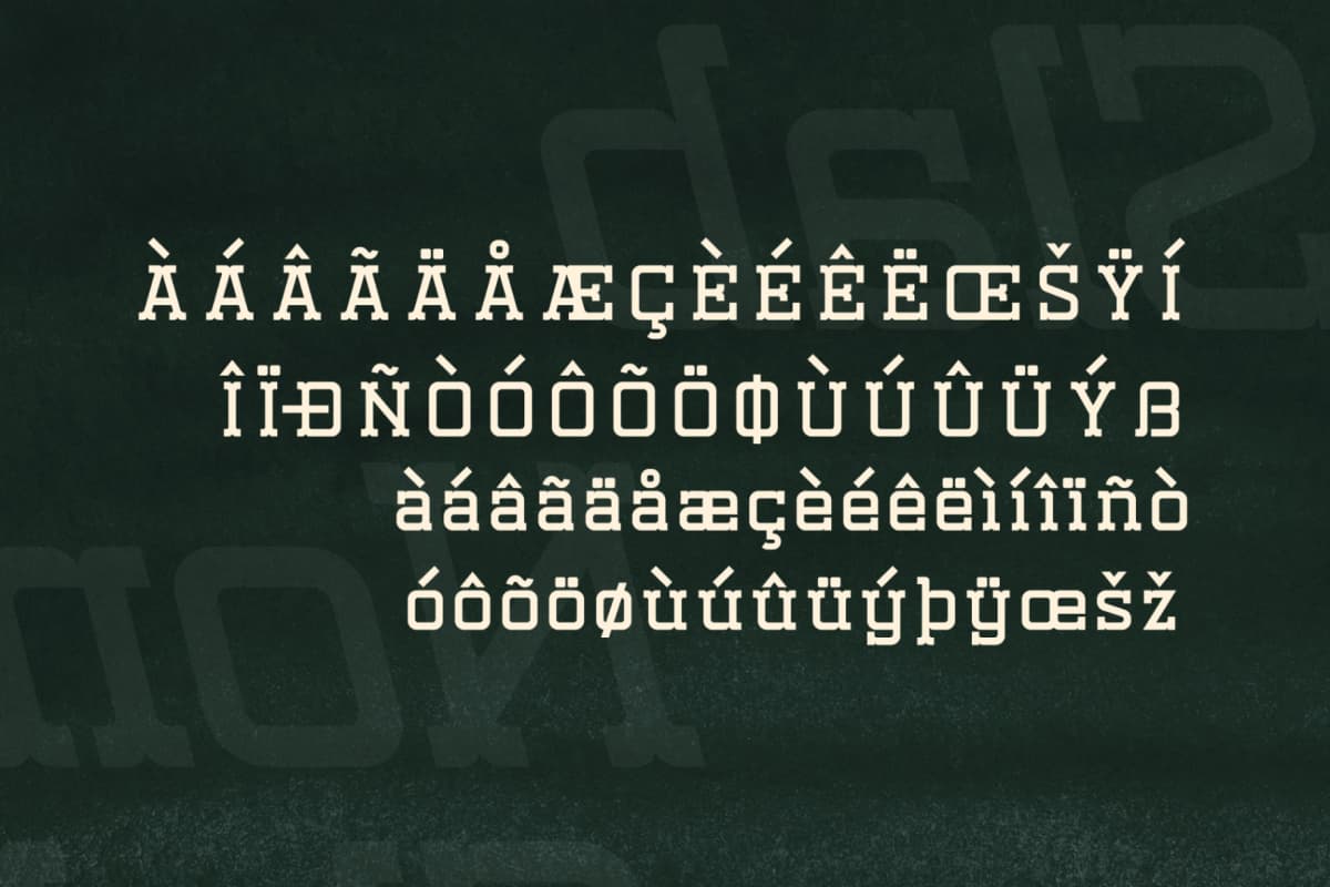 Nomaden Slab - Stylish Slab Serif Font font preview 14