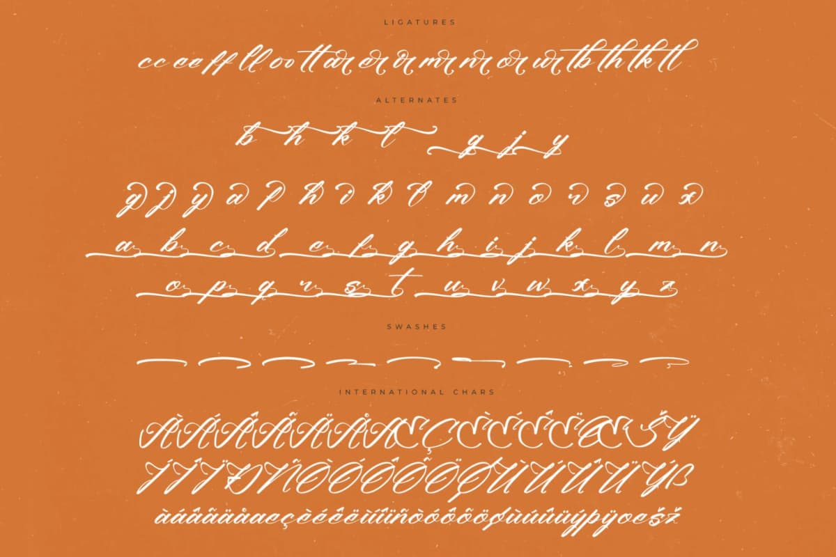 Climbing Nature – Modern Calligraphy Font font preview 14