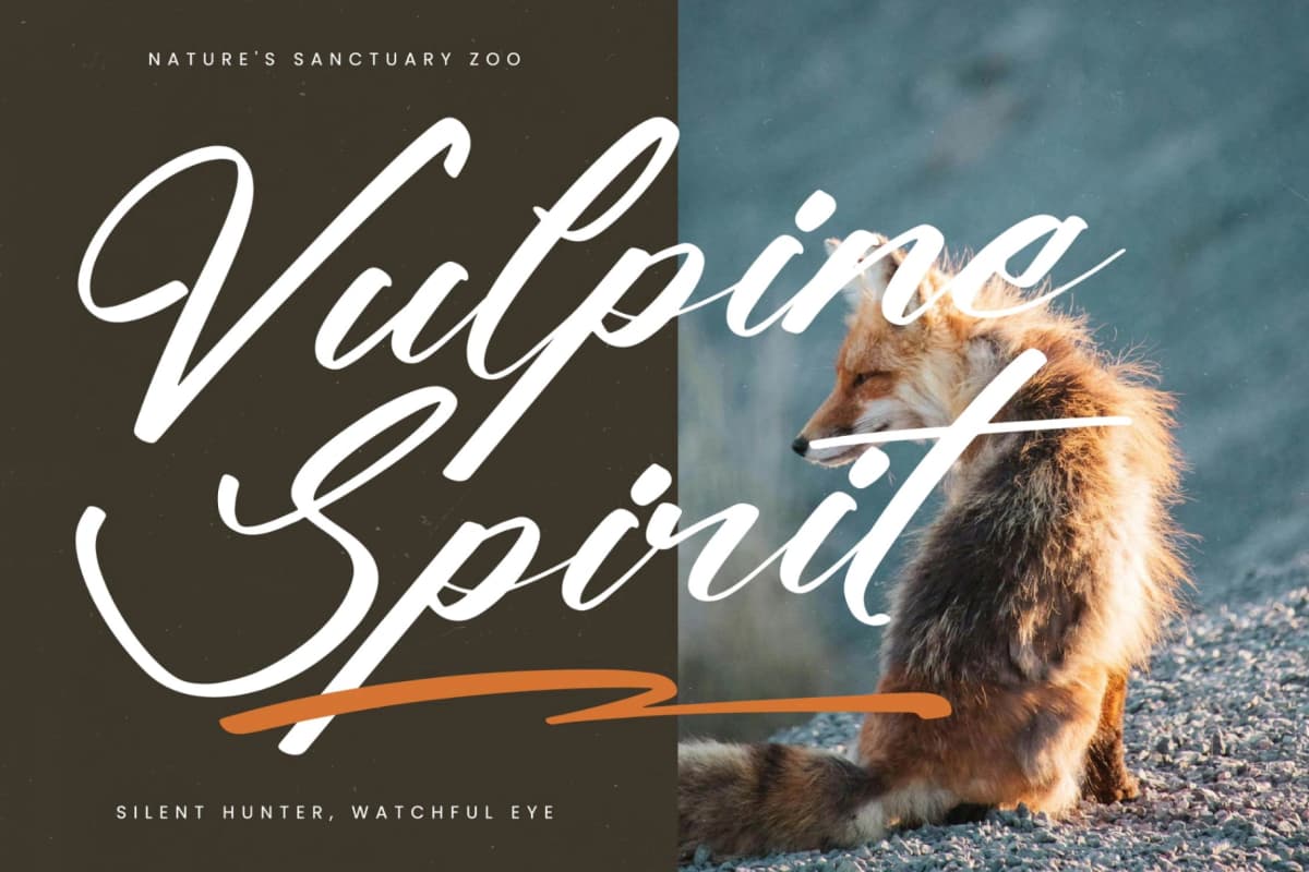Climbing Nature – Modern Calligraphy Font font preview 6