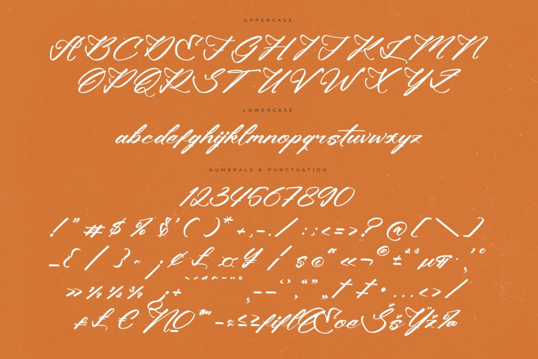 Preview 13 for Climbing Nature – Modern Calligraphy Font