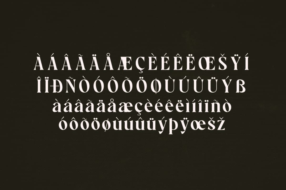 Preview 14 for Stanley - Classy Serif Typeface Font
