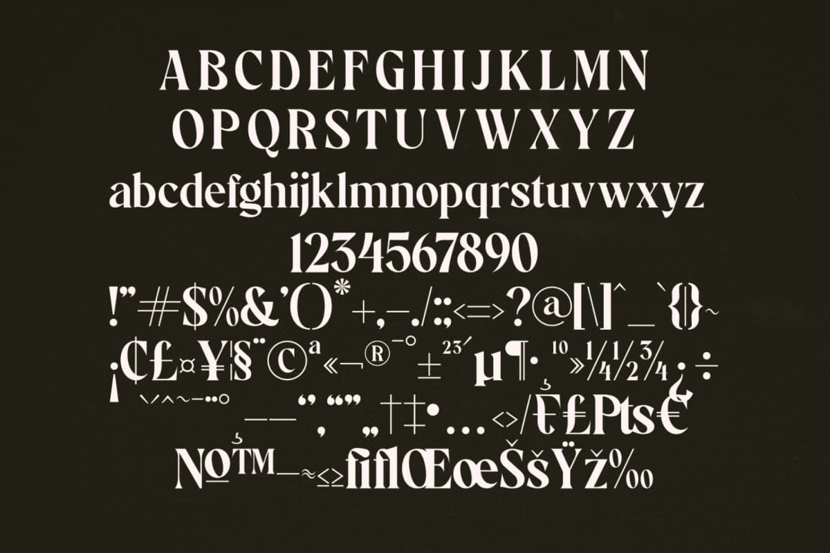 Preview 11 for Stanley - Classy Serif Typeface Font