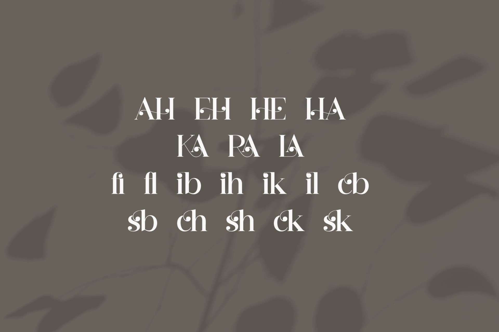 Preview 13 for Hergika - Modern Elegan Serif Font