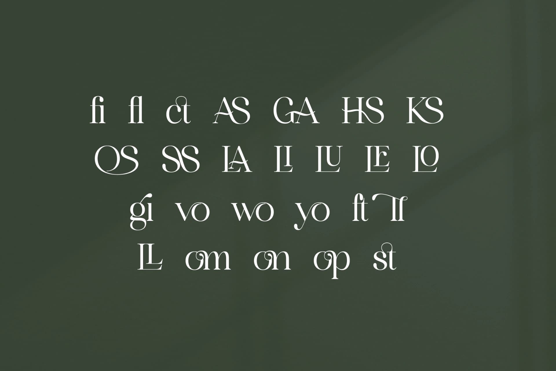 Preview 13 for Marllgon - Stylish Serif Font