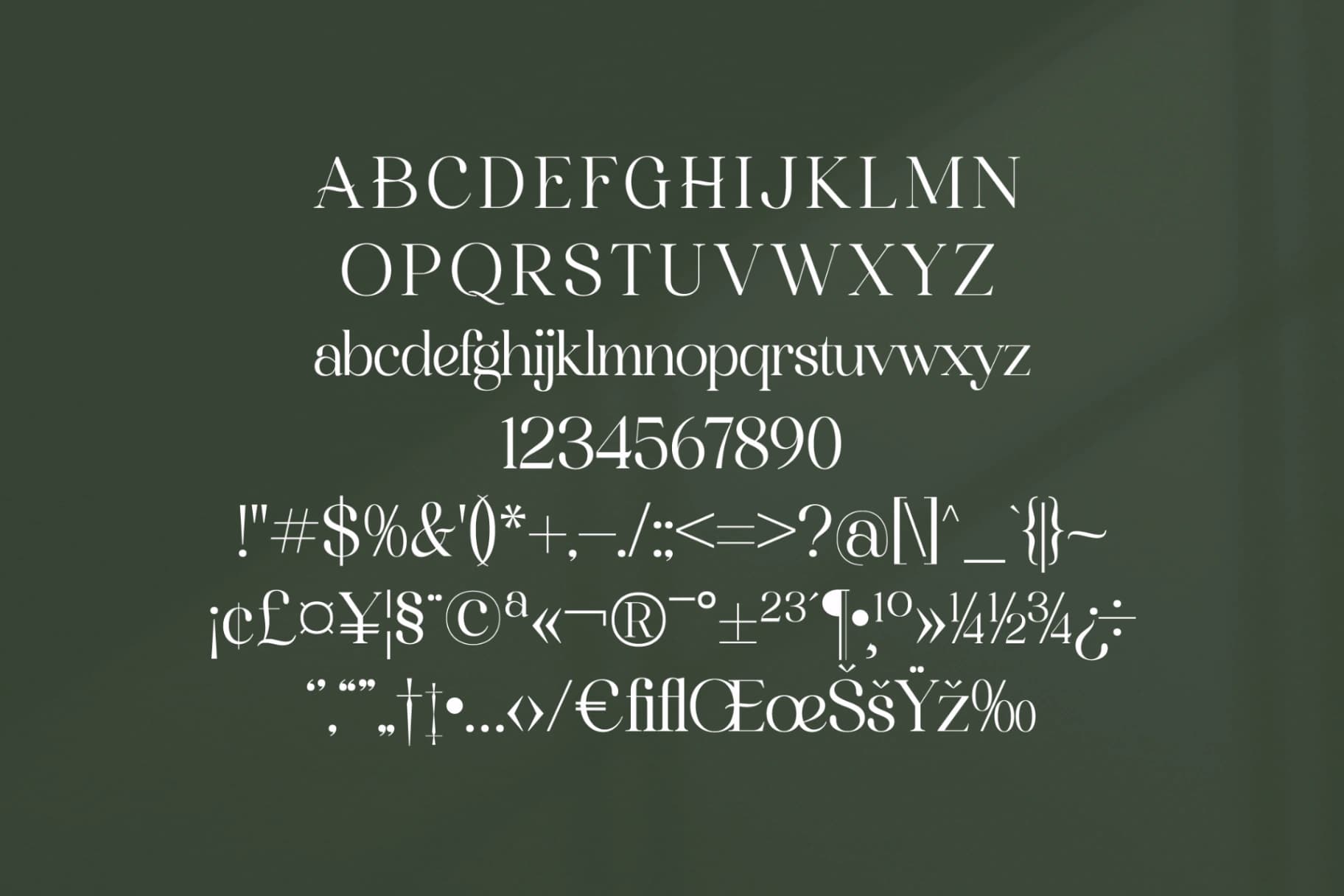 Preview 11 for Marllgon - Stylish Serif Font