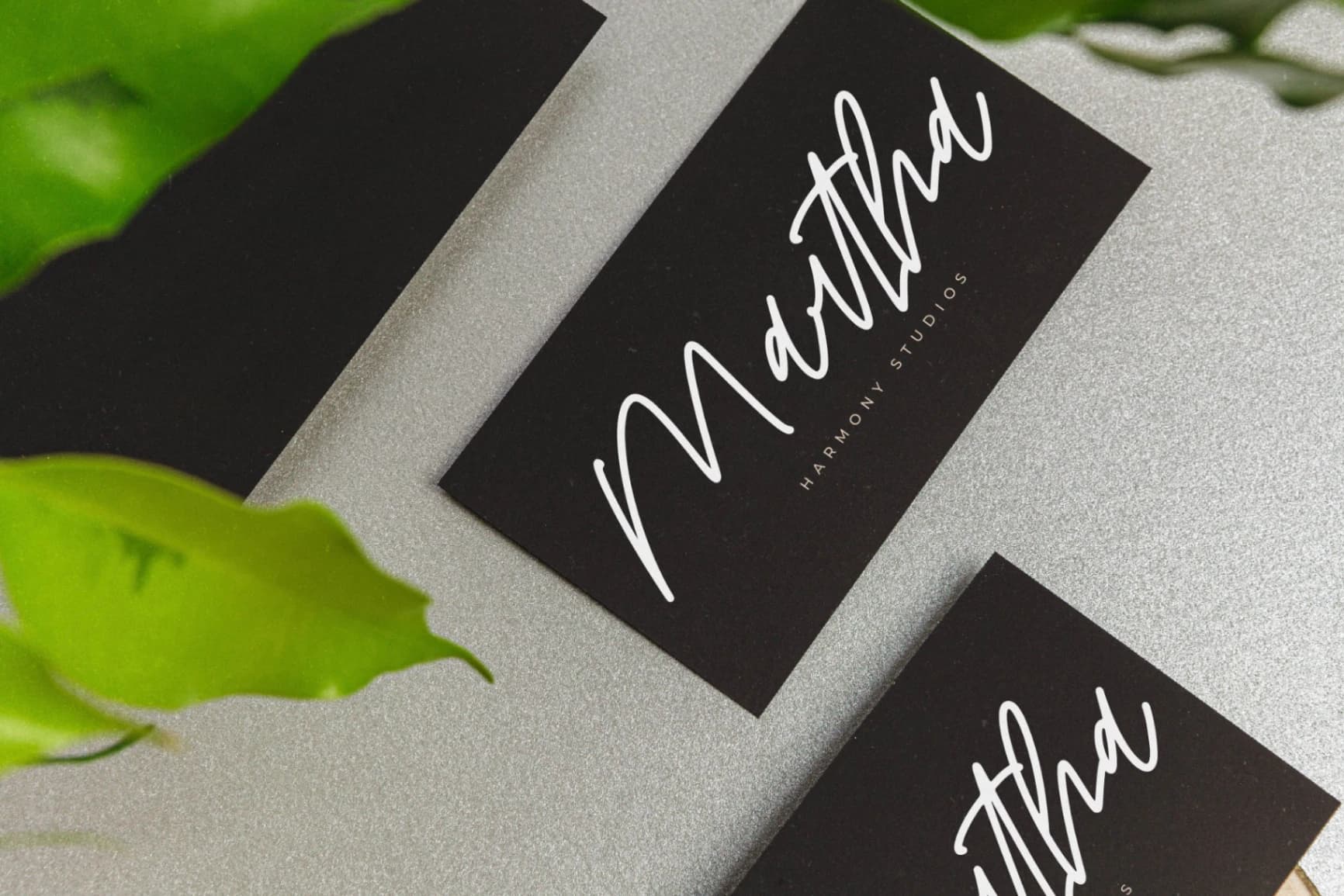 Preview 7 for Travelast Wander – Monoline Signature Script