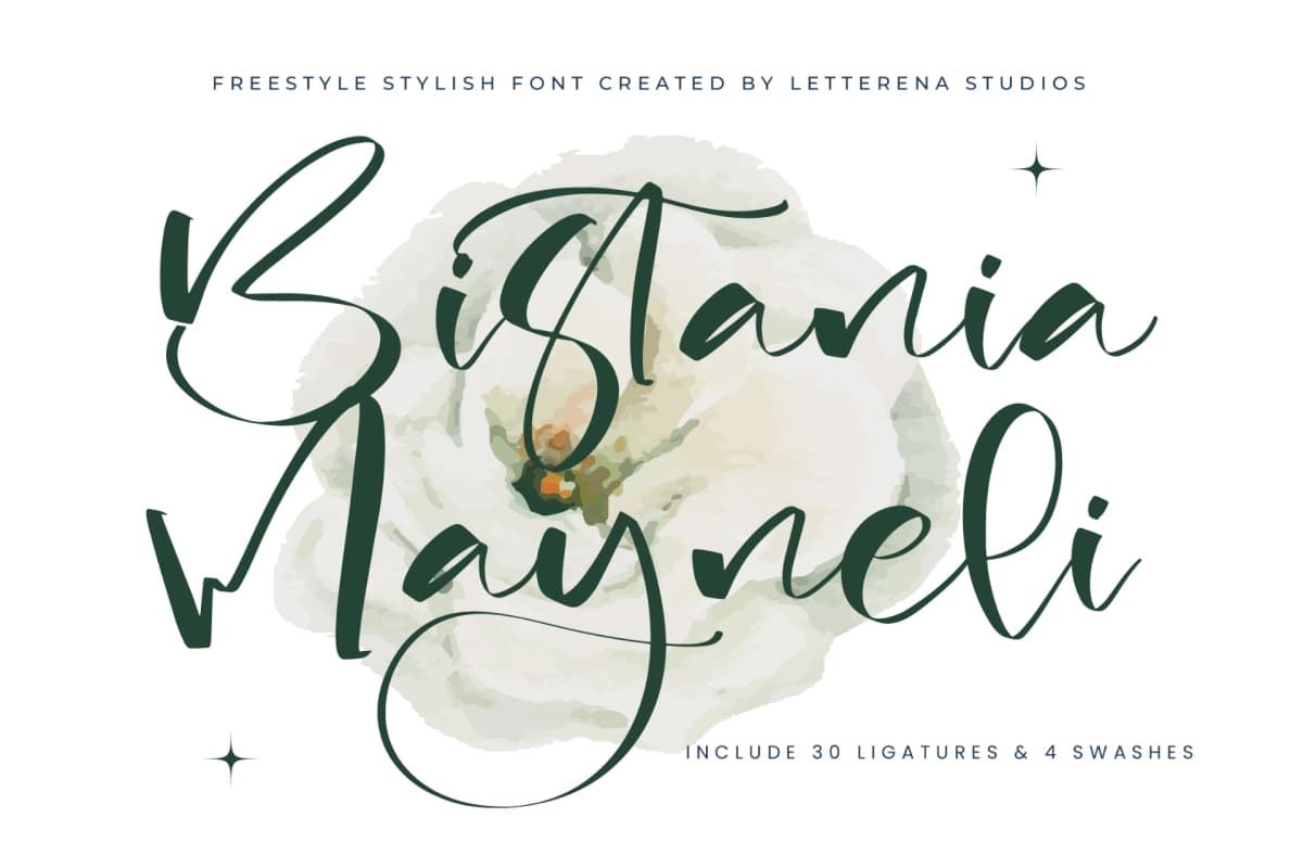 Preview of Bistania Mayneli - Freestyle Stylish Font font