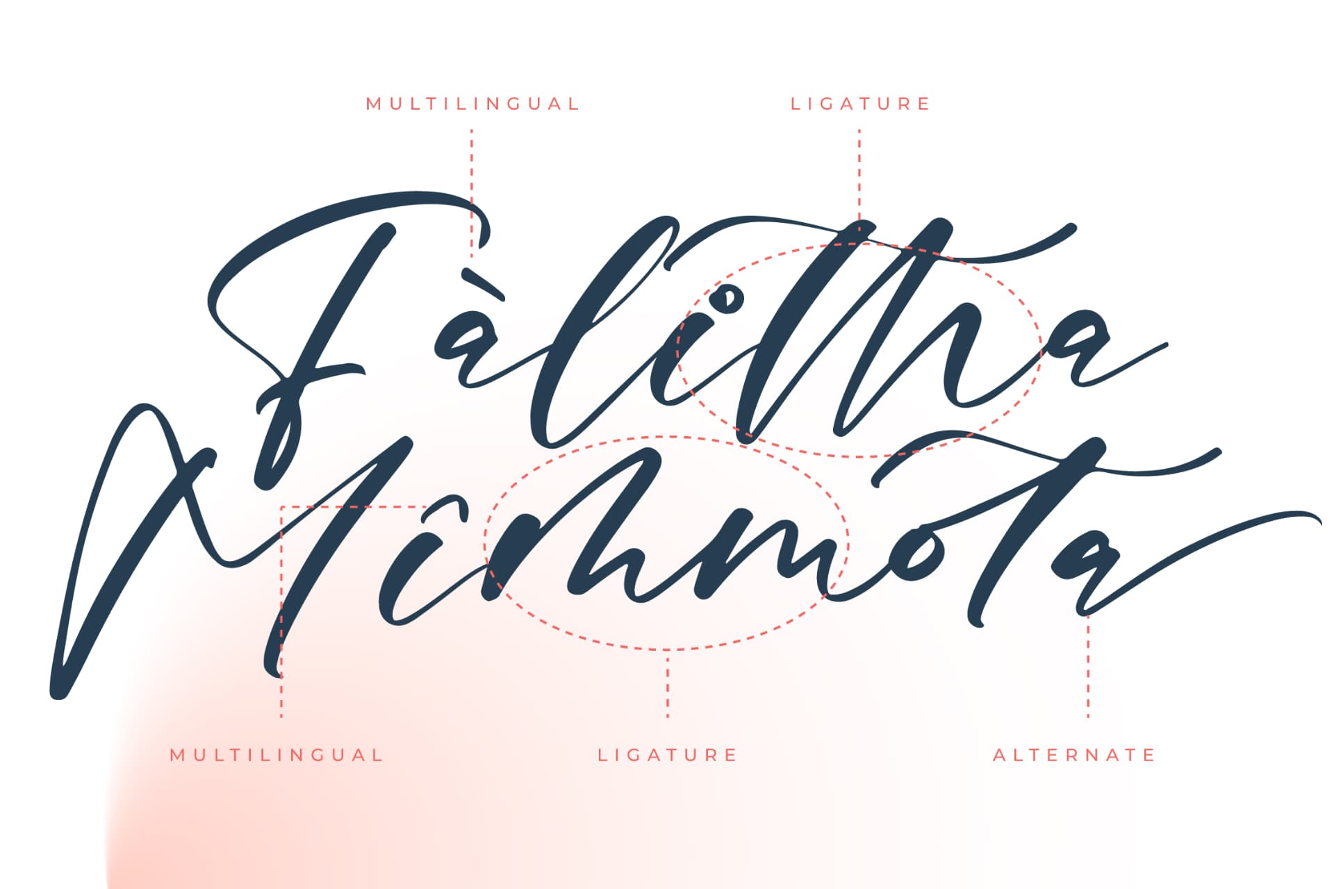 Preview 12 for Magnotus Bractea – Beautiful Script Font
