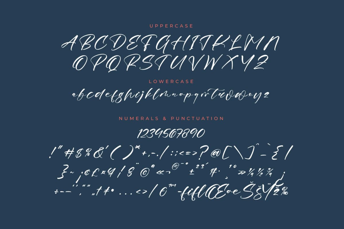 Preview 13 for Magnotus Bractea – Beautiful Script Font
