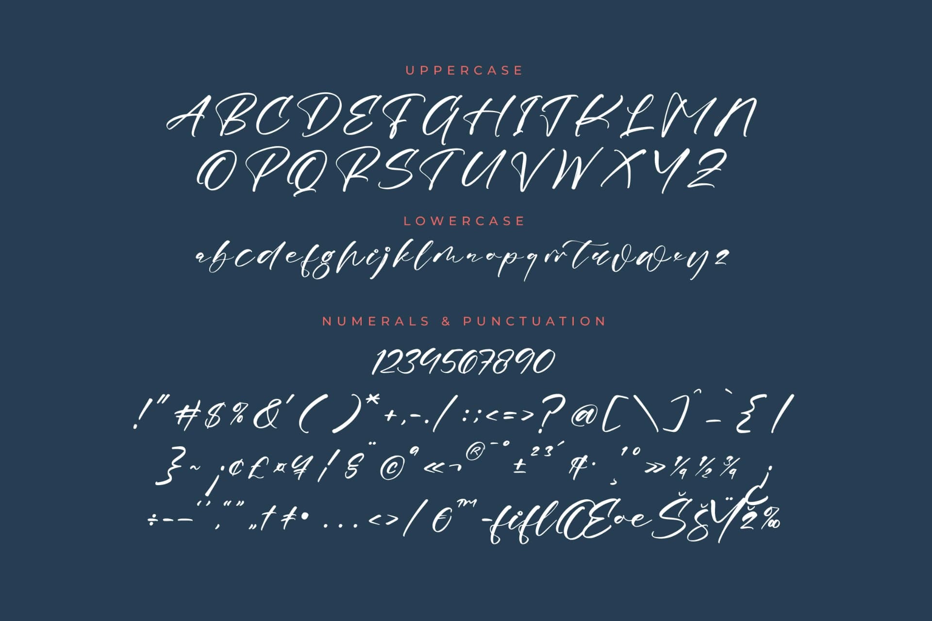 Preview 13 for Magnotus Bractea – Beautiful Script Font