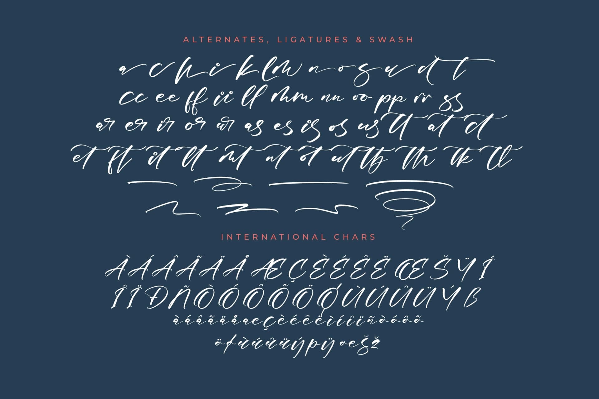 Preview 14 for Magnotus Bractea – Beautiful Script Font