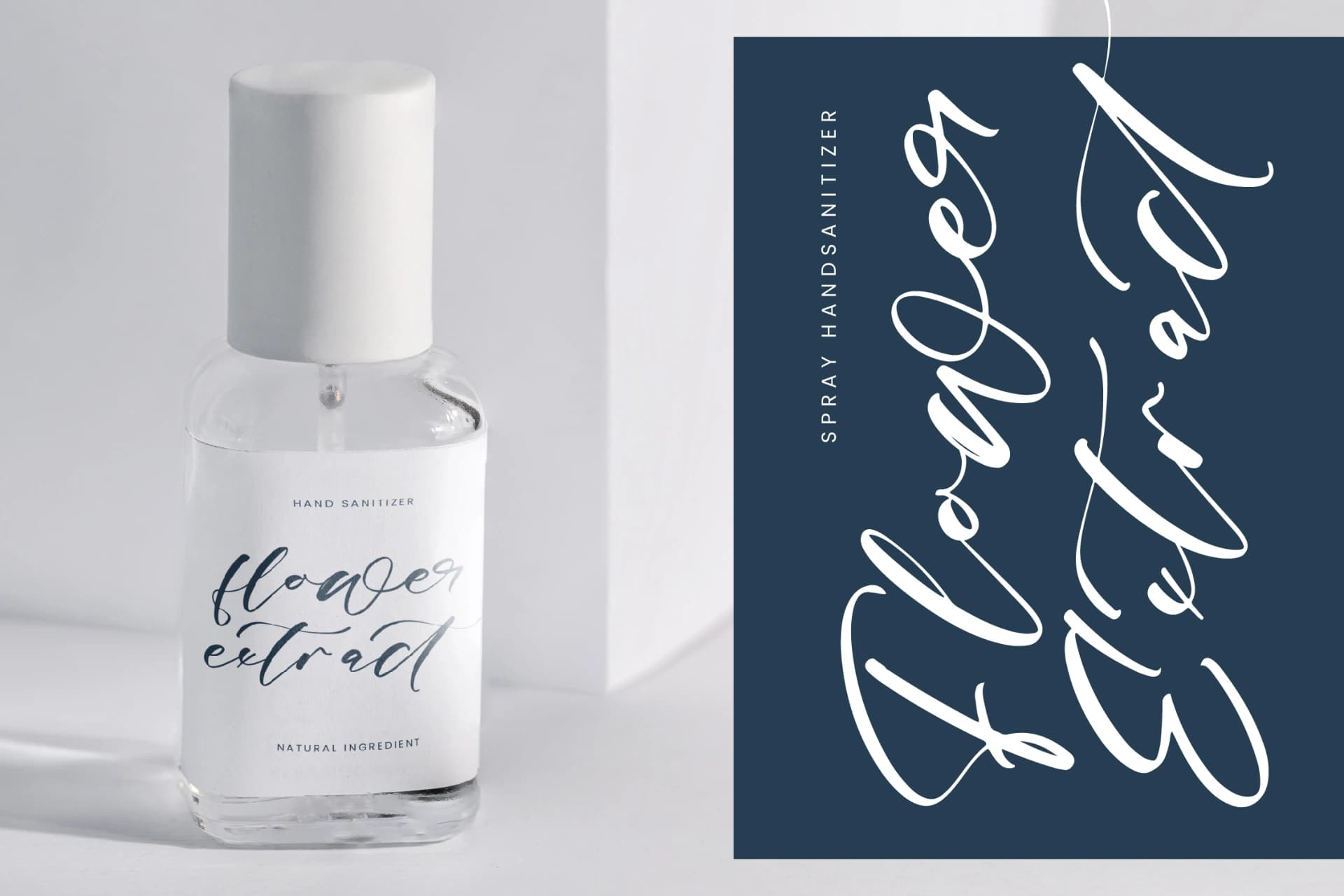 Preview 6 for Magnotus Bractea – Beautiful Script Font