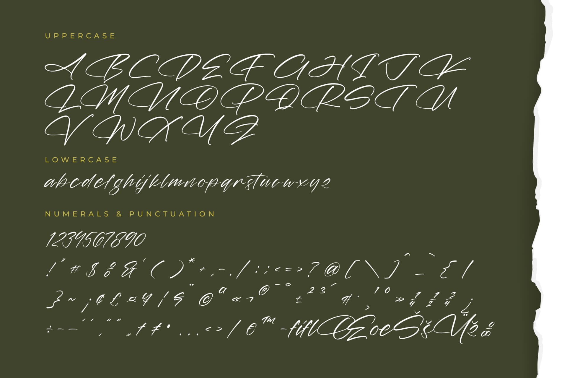 Preview 13 for Marie Glachith – Beautiful Script Font