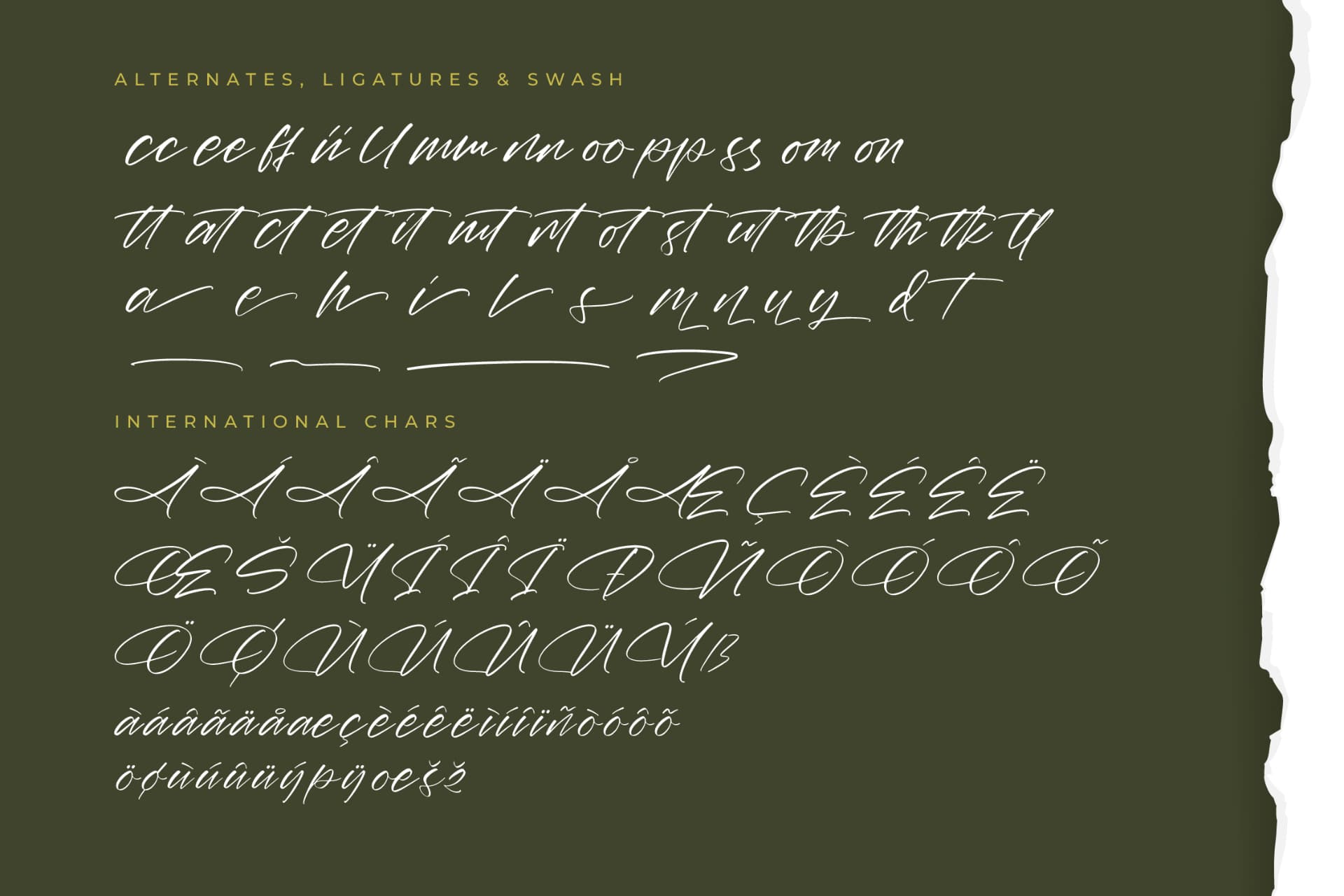 Preview 14 for Marie Glachith – Beautiful Script Font
